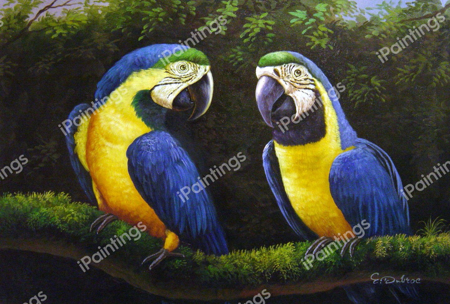 Two Parrots Chatting Away. The painting by Our Originals
