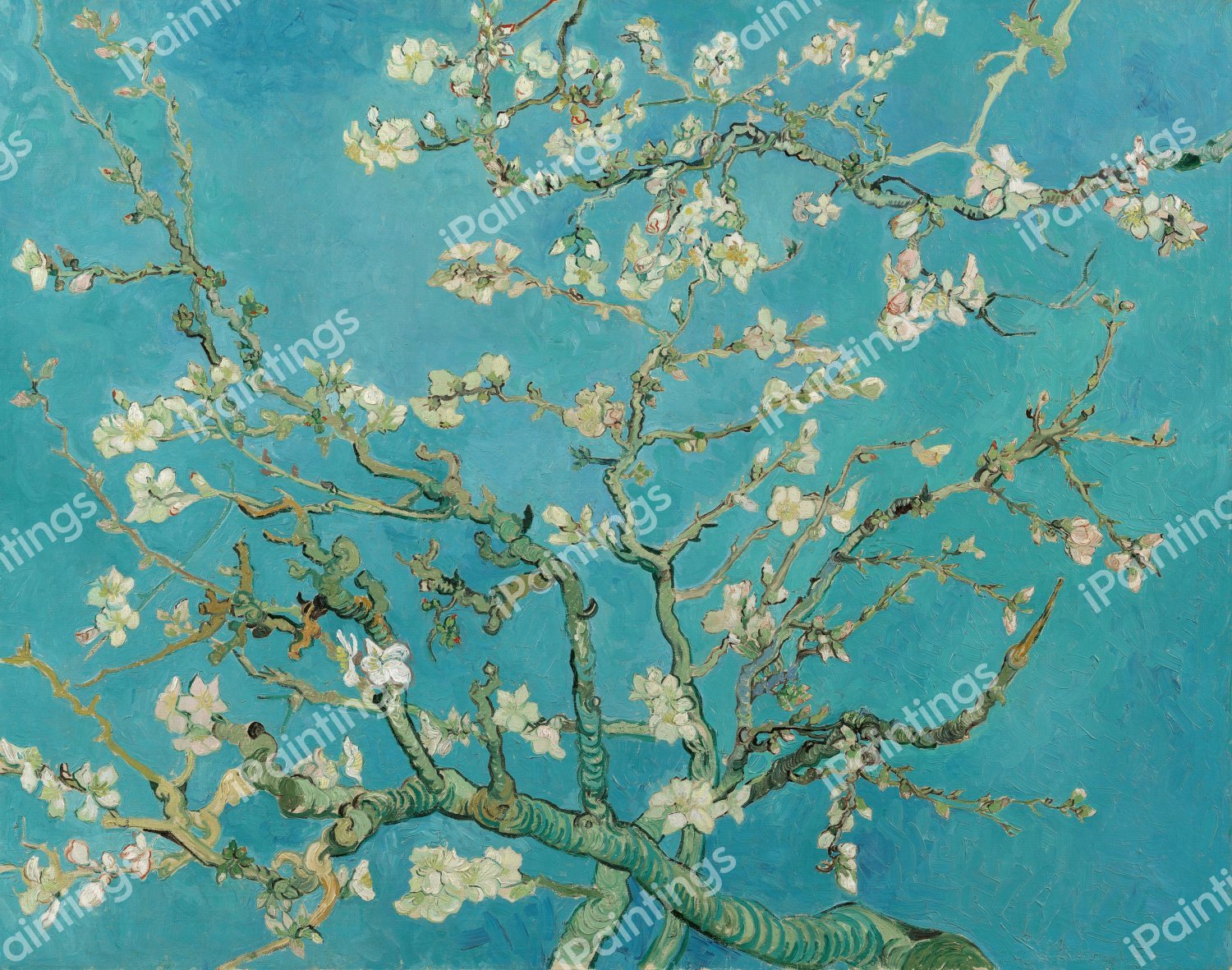 A Floral Still Life:  Branches with Almond Blossoms. The painting by Vincent Van Gogh