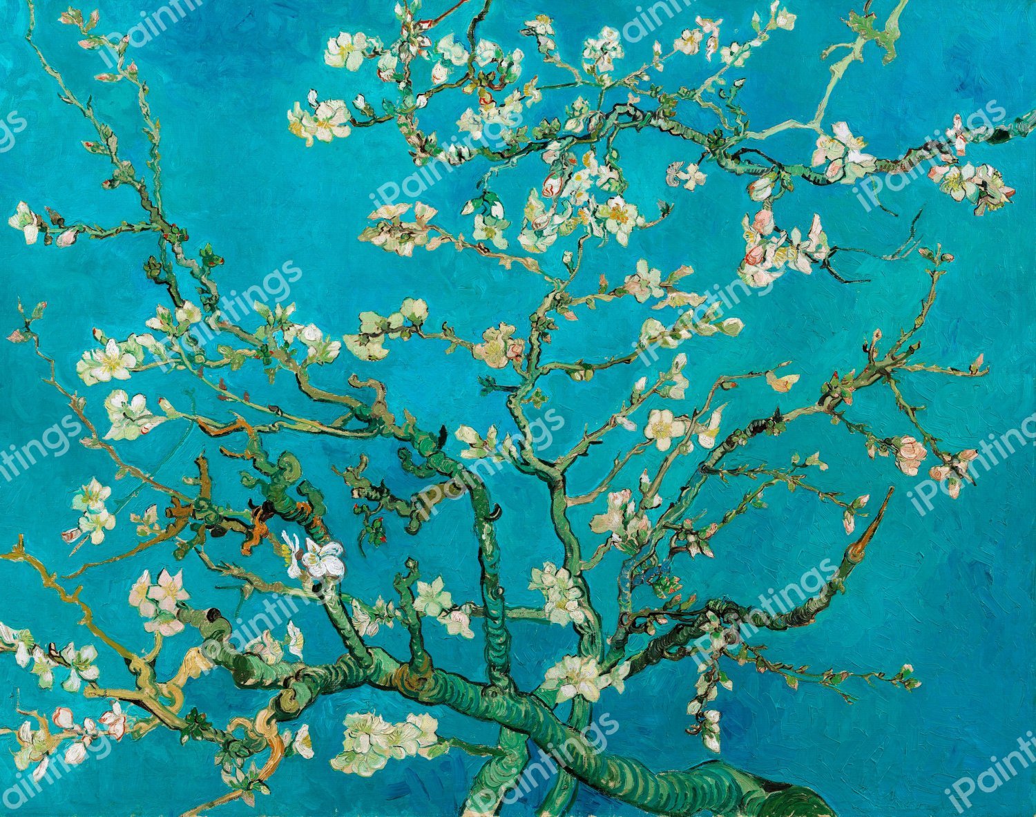 Almond Blossom Painting by Vincent Van Gogh Reproduction iPaintings com