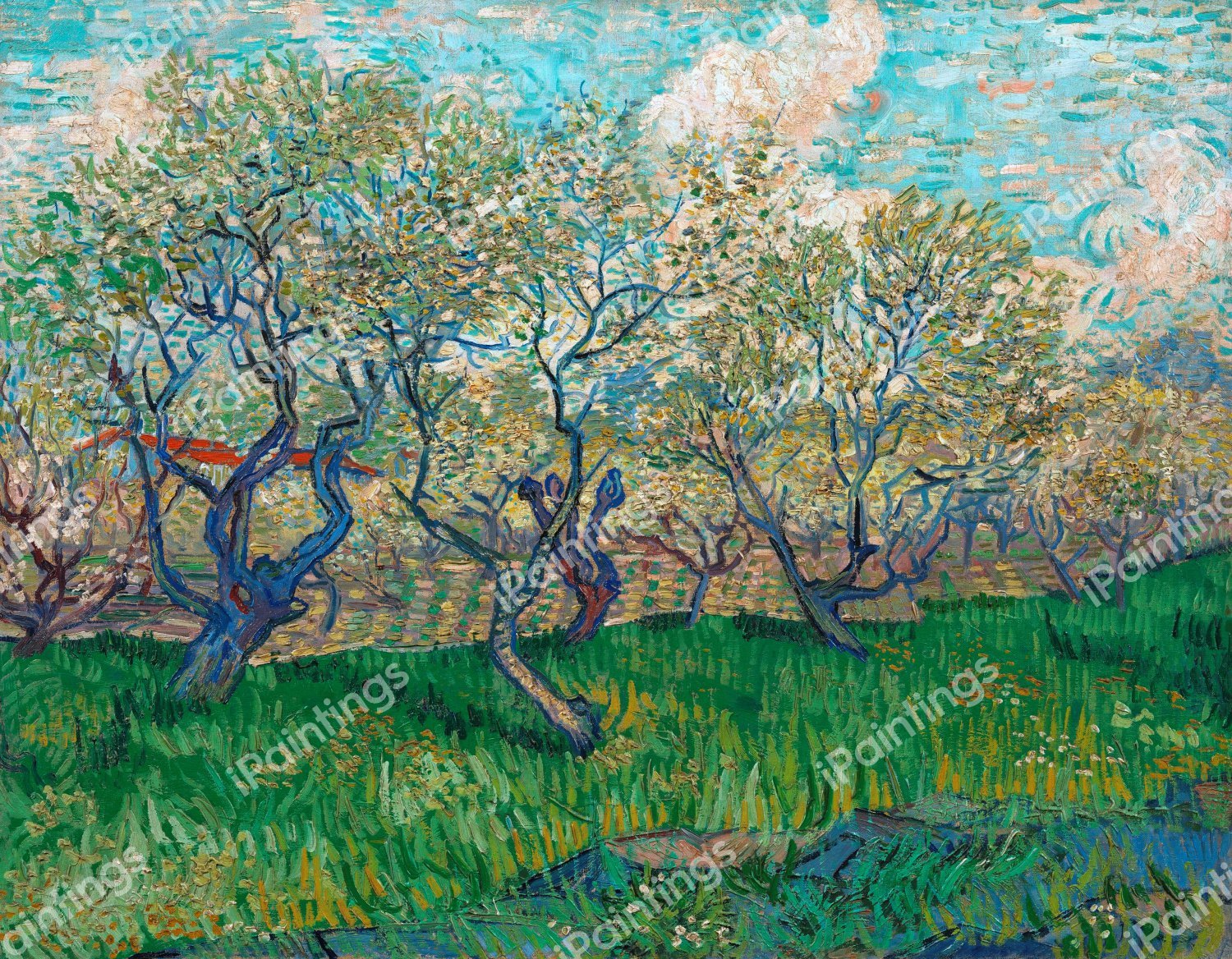 An Orchard in Blossom. The painting by Vincent Van Gogh