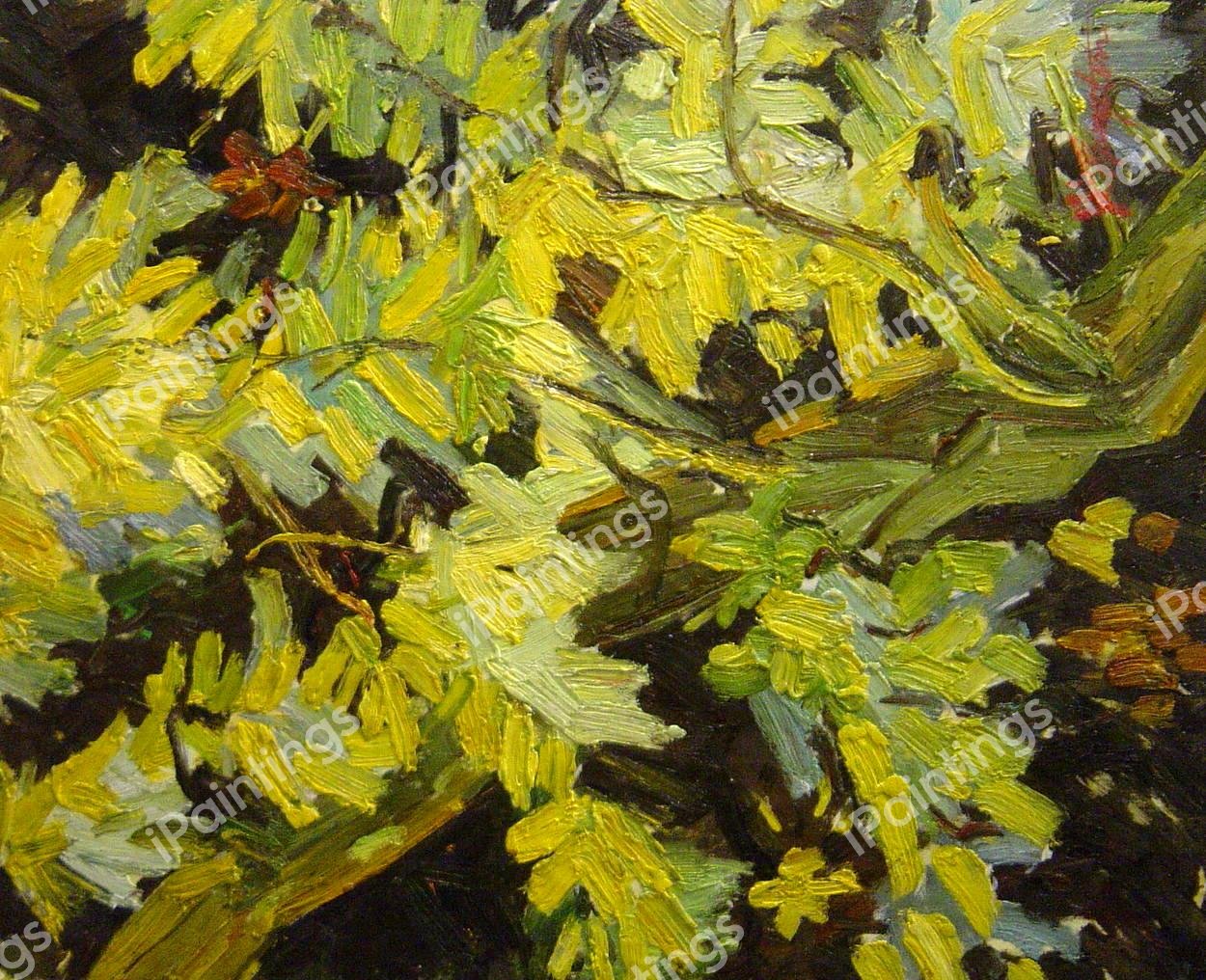 Blossoming Acacia Branches. The painting by Vincent Van Gogh