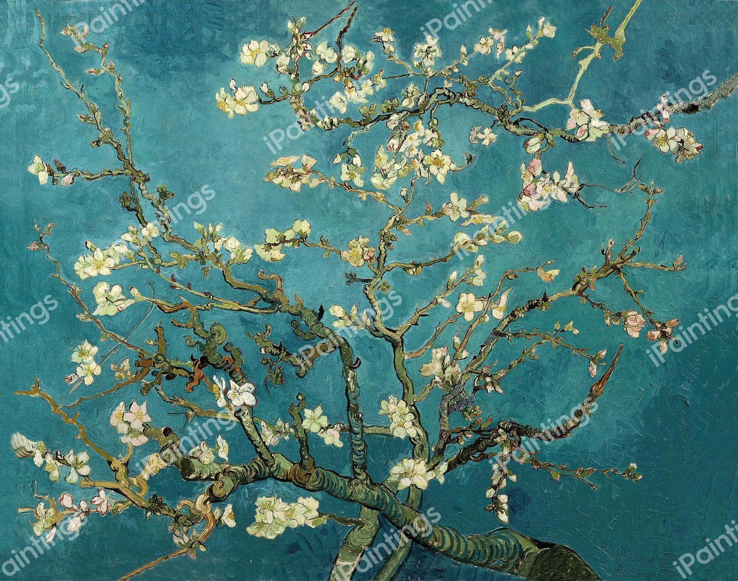 Blossoming Almond Tree. The painting by Vincent Van Gogh