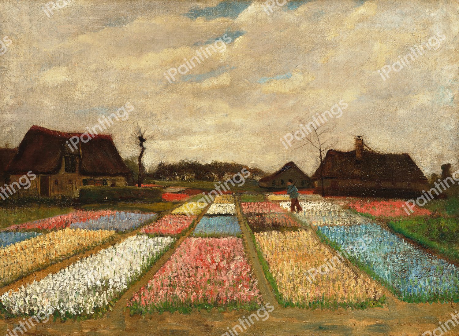 Bulb Fields. The painting by Vincent Van Gogh