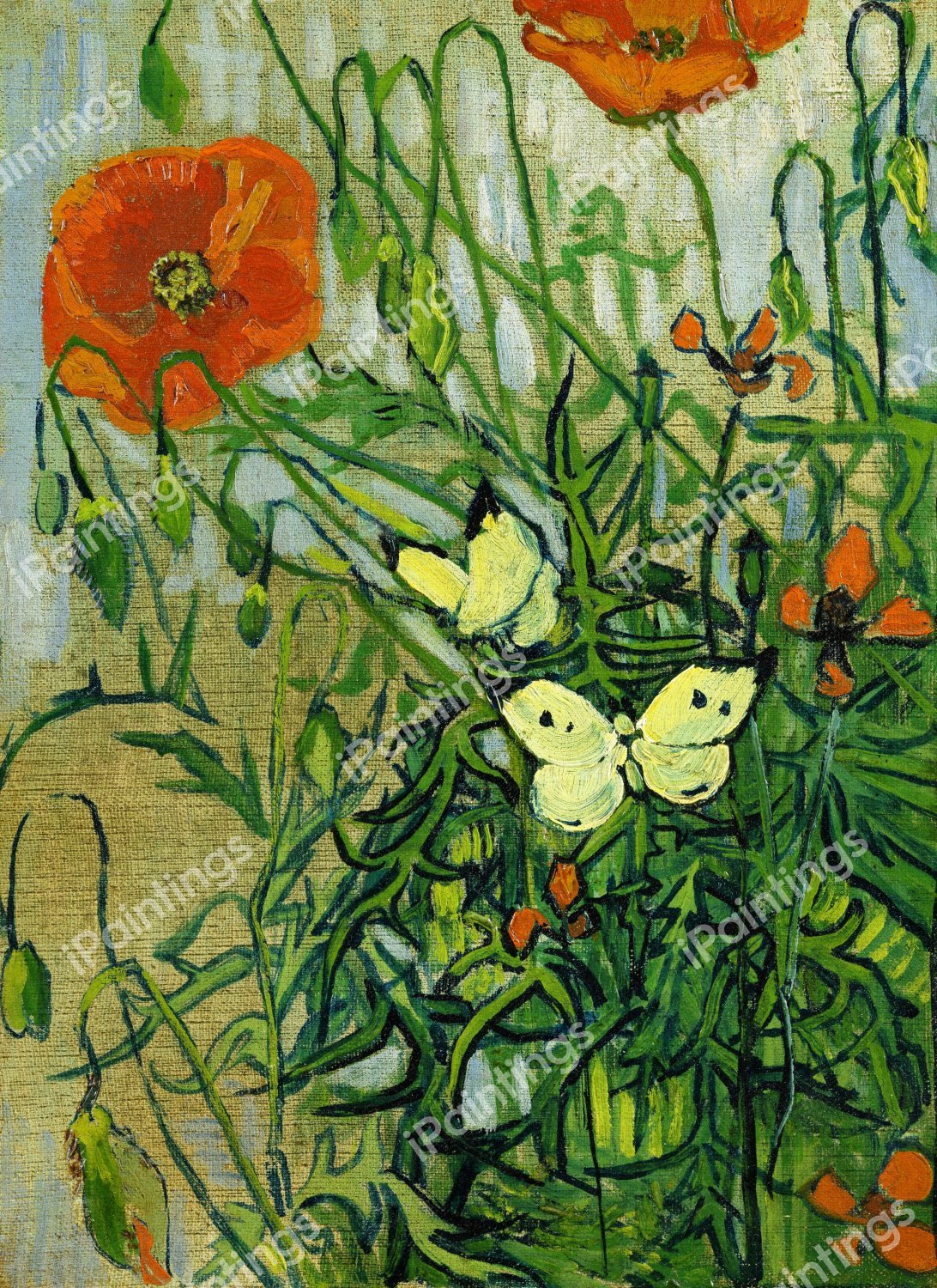 Butterflies and Poppies. The painting by Vincent Van Gogh