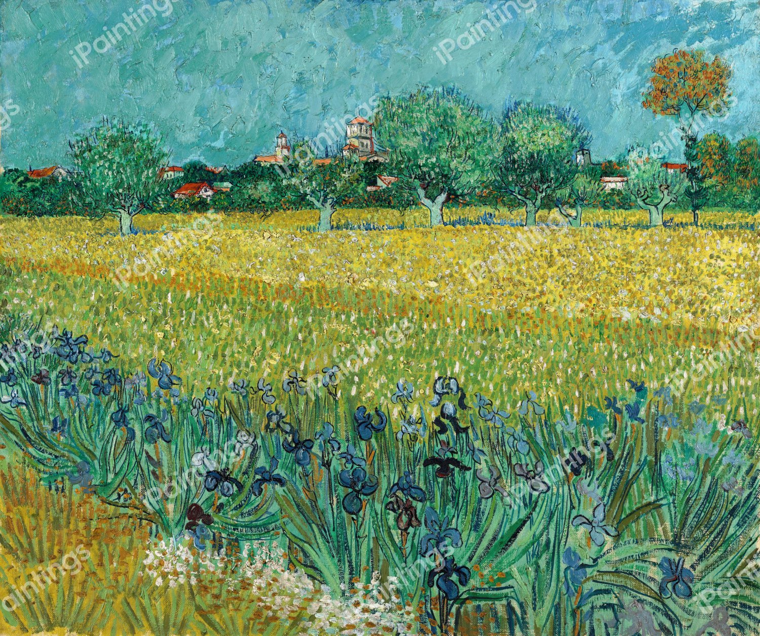 Field with Irises near Arles . The painting by Vincent Van Gogh