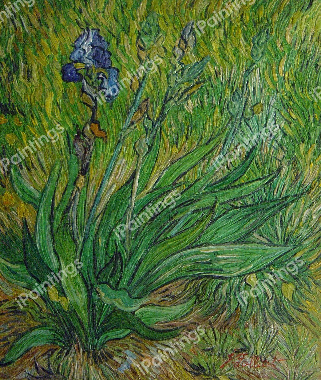 Irises. The painting by Vincent Van Gogh