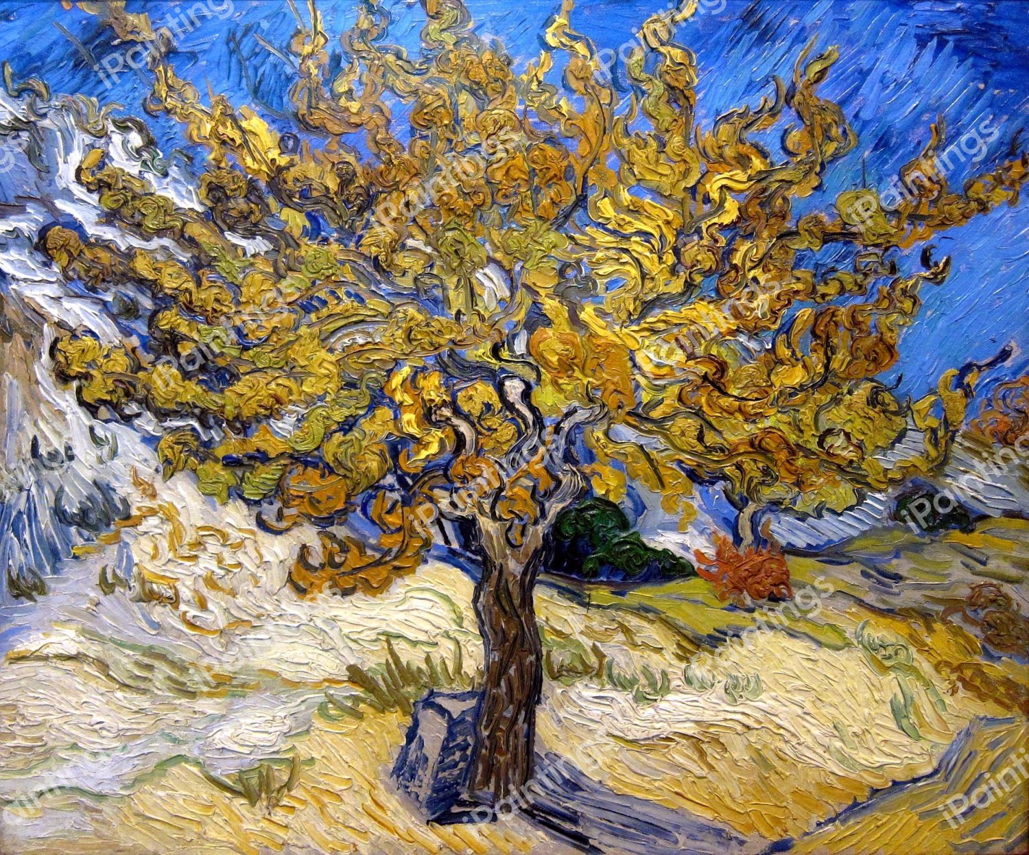 Mulberry Tree. The painting by Vincent Van Gogh