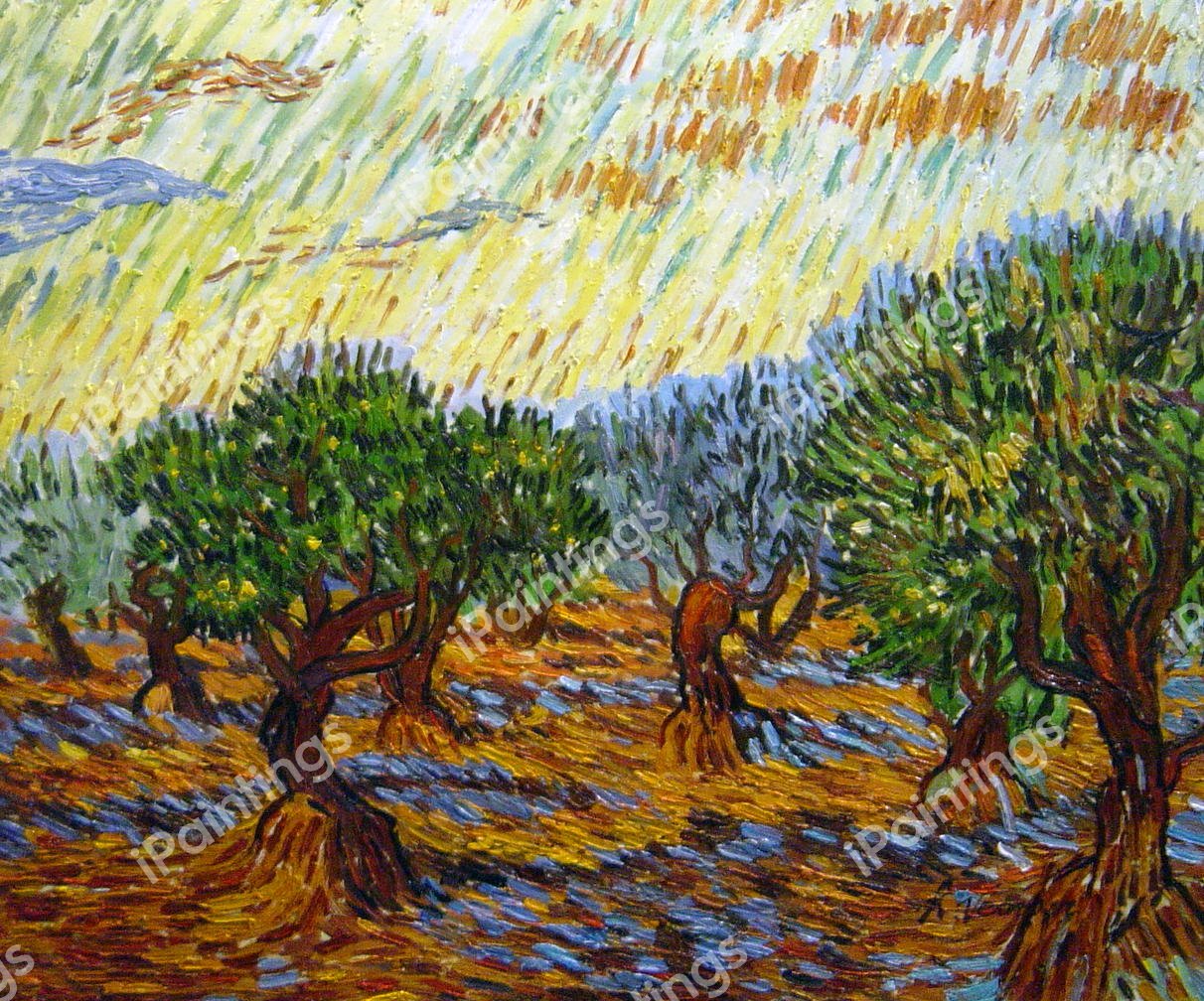 Olive Grove - Orange Sky. The painting by Vincent Van Gogh