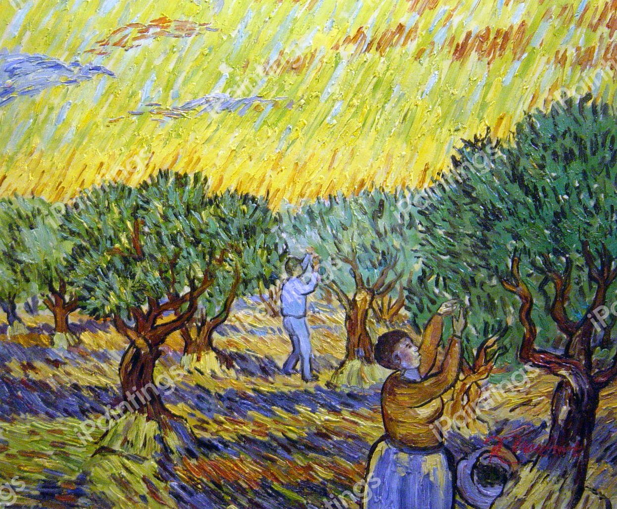Olive Grove With Picking Figures. The painting by Vincent Van Gogh