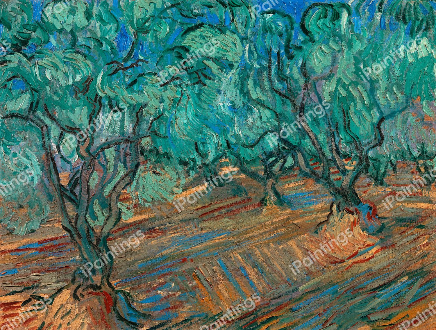 Olive Grove. The painting by Vincent Van Gogh