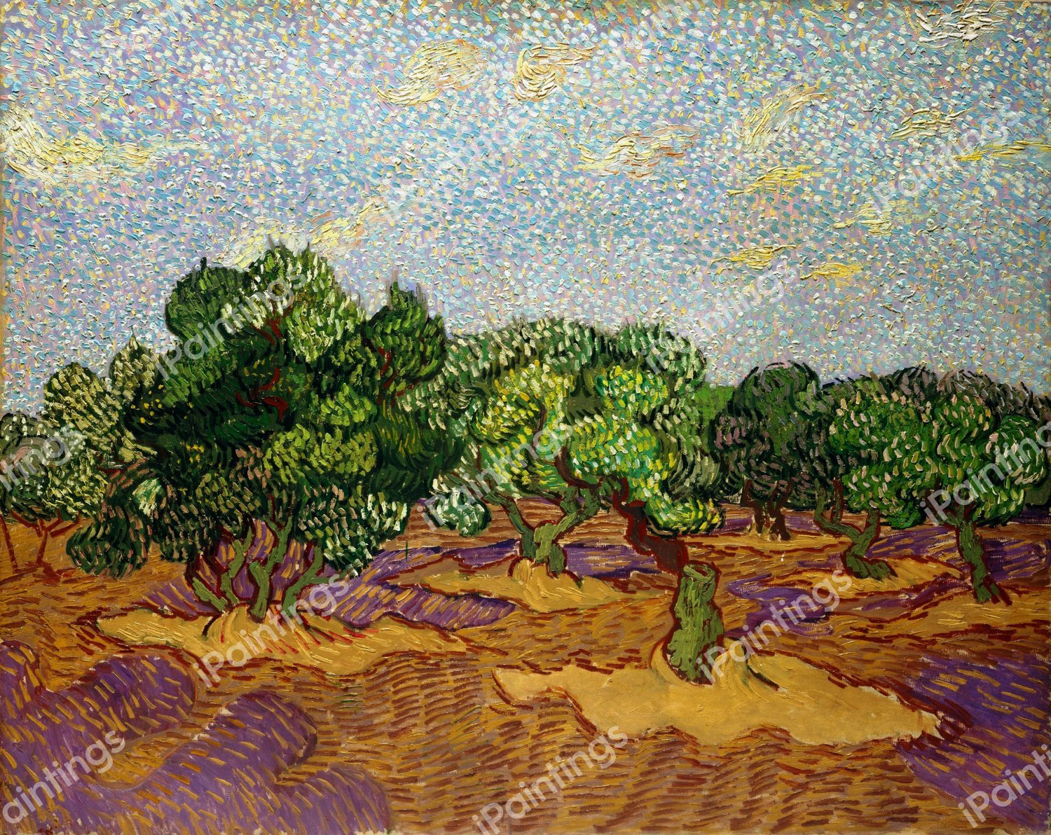 Olive Trees 2. The painting by Vincent Van Gogh