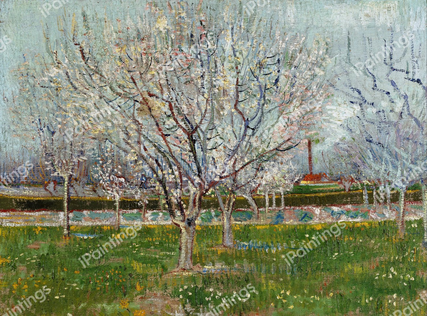 Orchard in Blossom (Plum Trees). The painting by Vincent Van Gogh