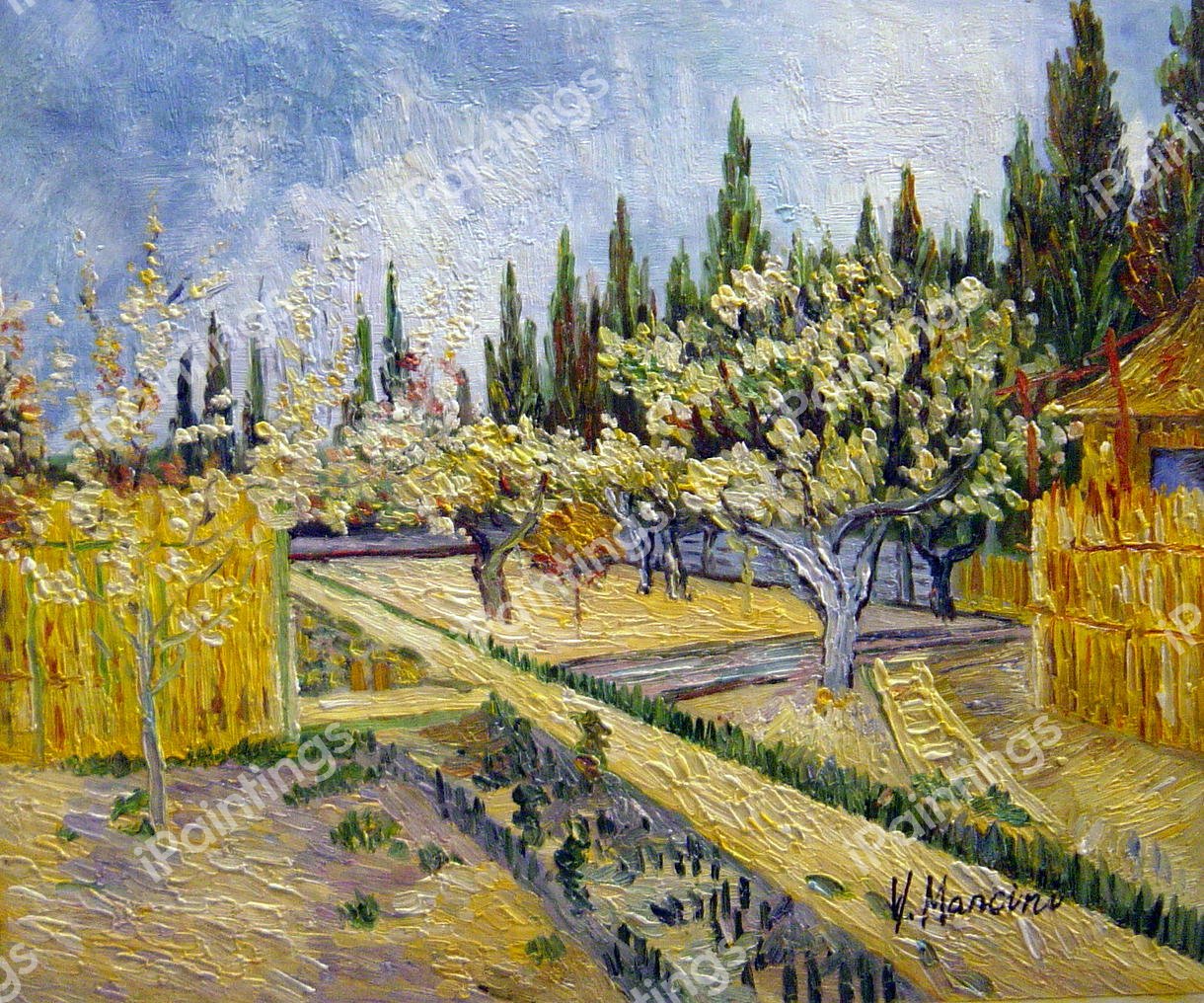 Orchard Surrounded By Cypresses. The painting by Vincent Van Gogh
