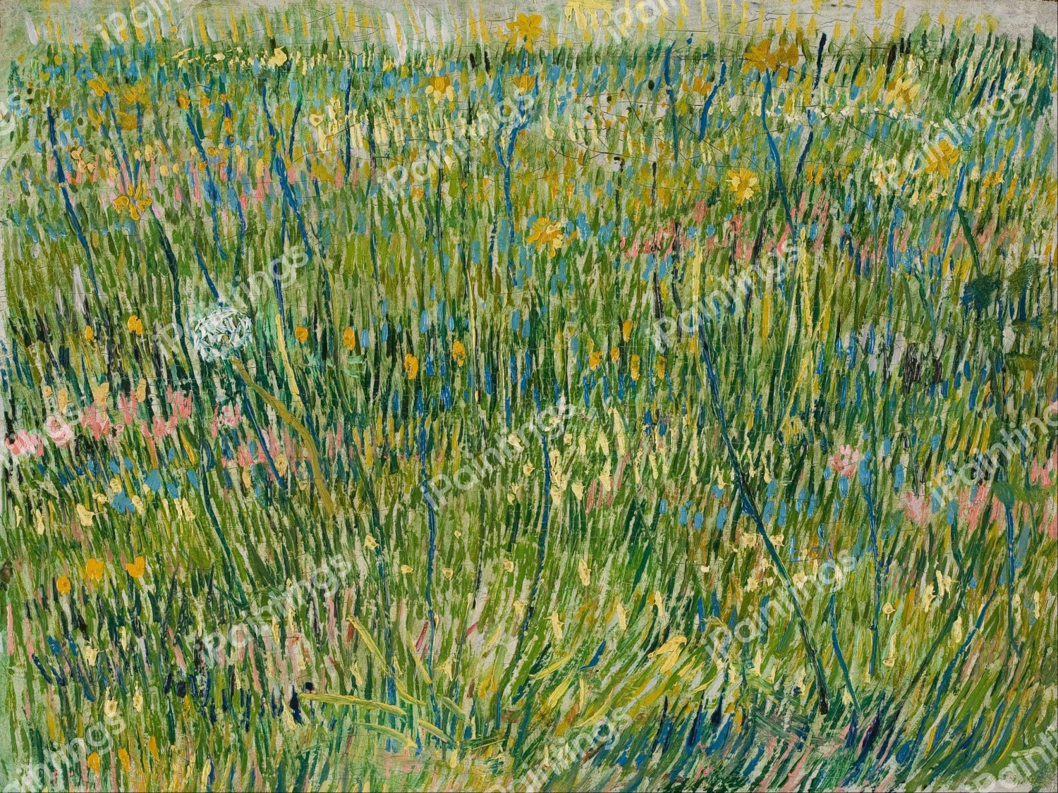 Patch of Grass 1. The painting by Vincent Van Gogh