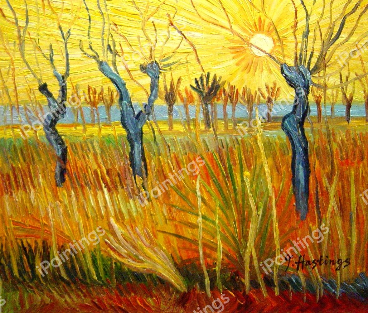 Pollard Willow With Setting Sun. The painting by Vincent Van Gogh