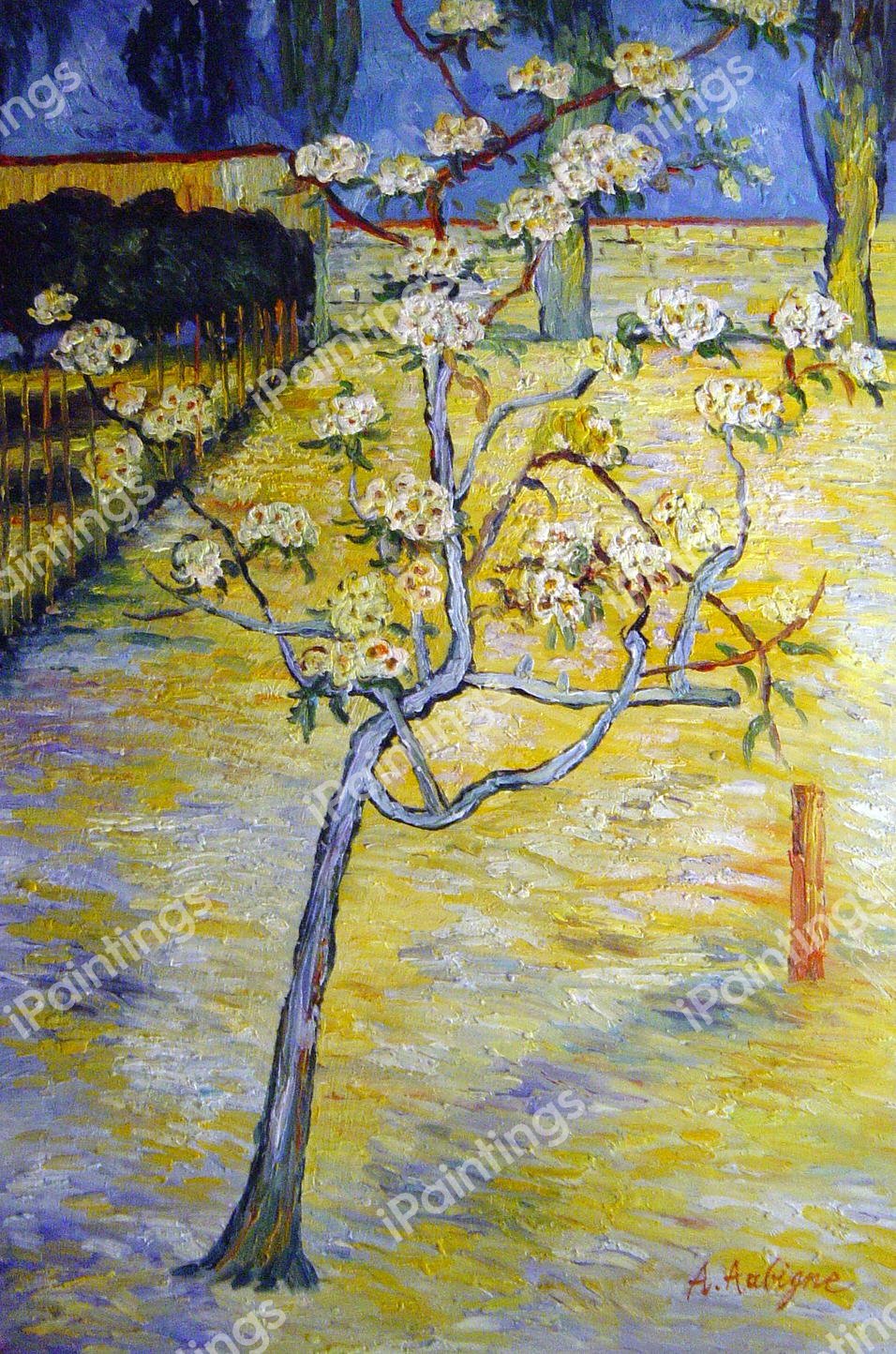 Small Pear Tree In Blossom. The painting by Vincent Van Gogh