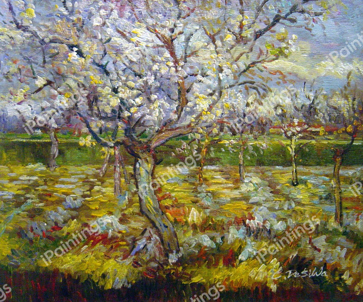The Apricot Tree In Bloom. The painting by Vincent Van Gogh