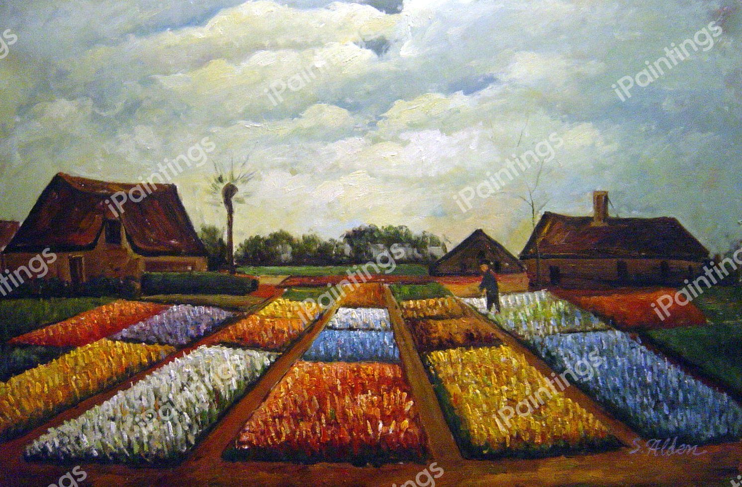The Bulb Field. The painting by Vincent Van Gogh