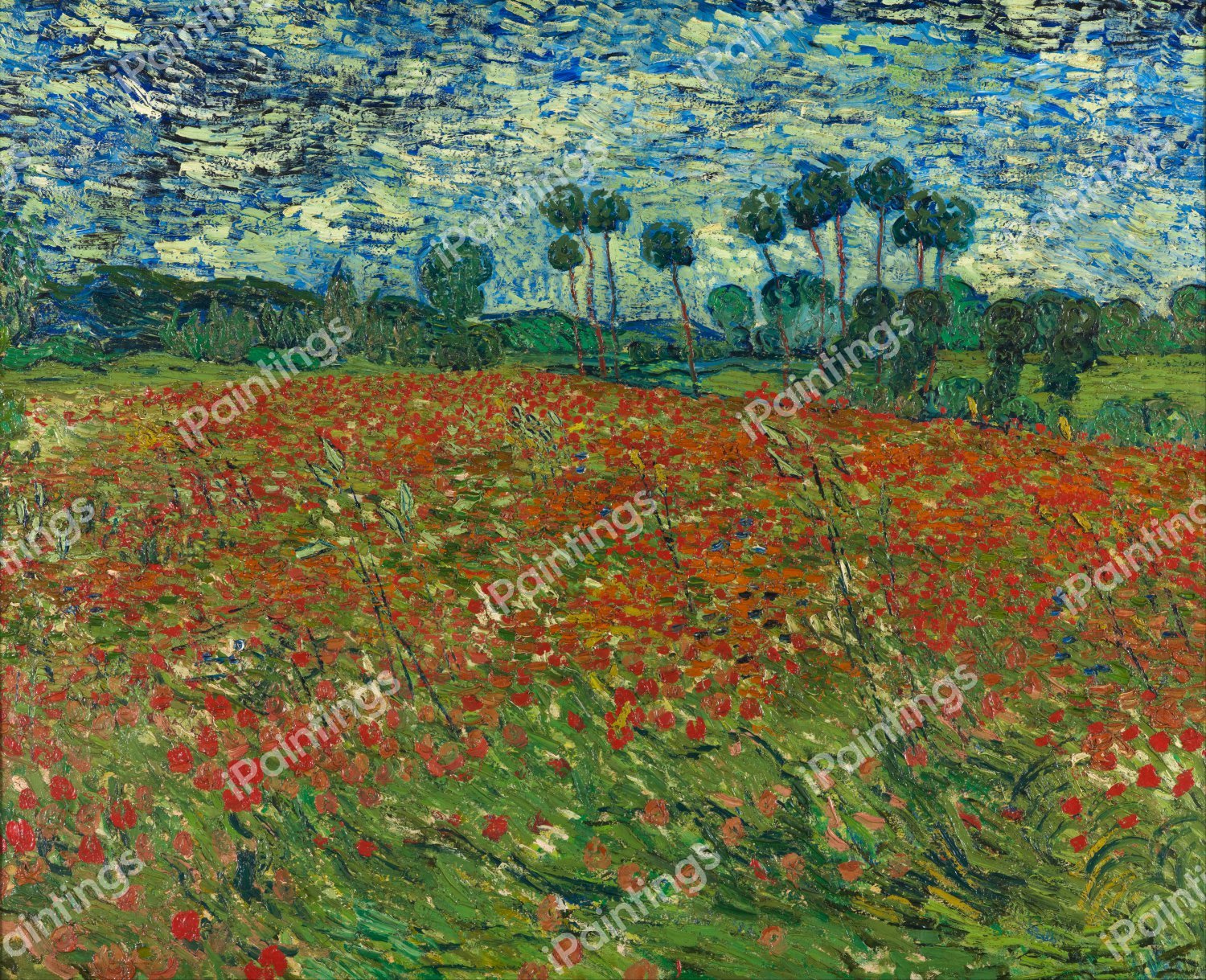 The Field with Poppies. The painting by Vincent Van Gogh