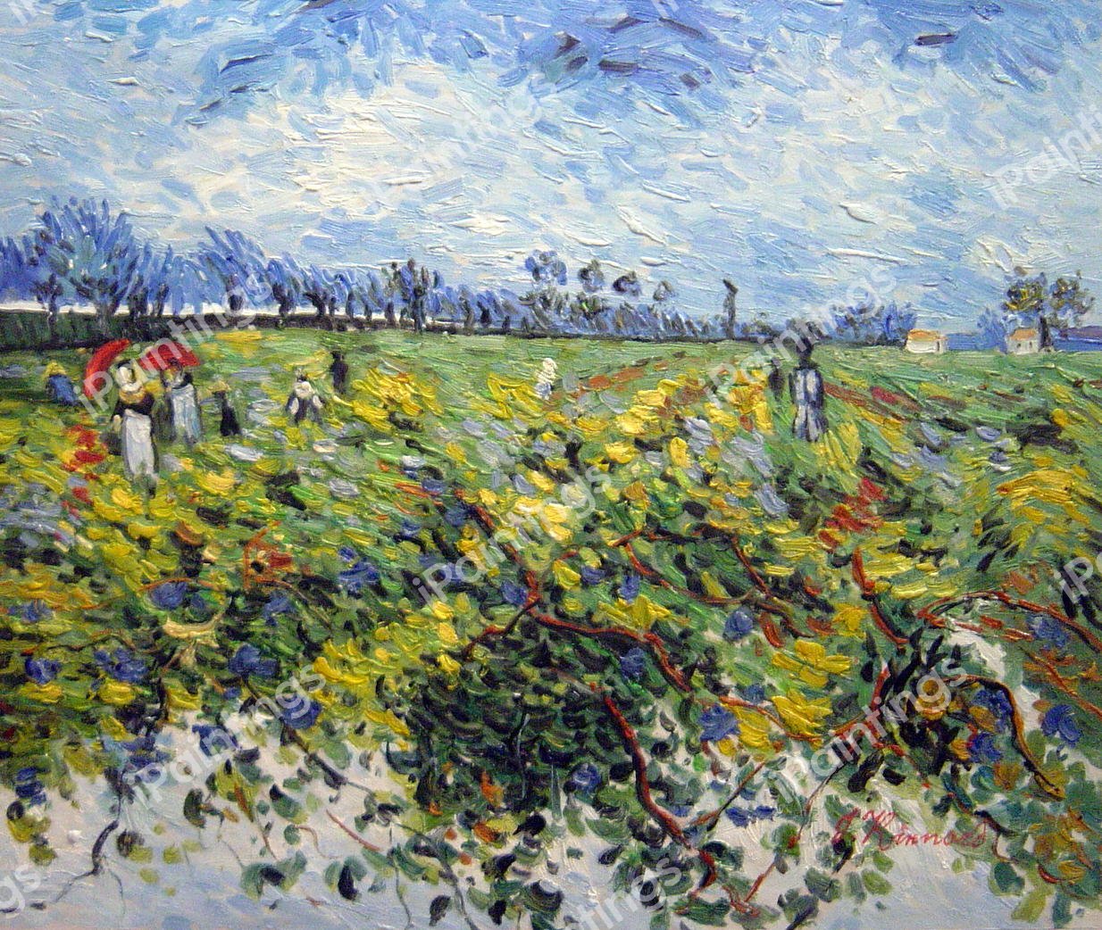 The Green Vinyard. The painting by Vincent Van Gogh