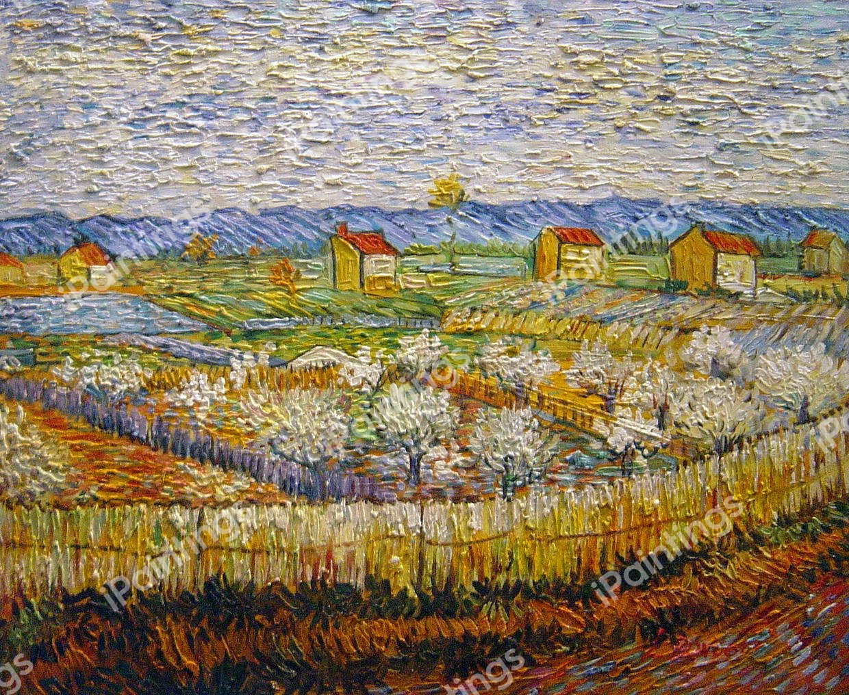 The Orchard. The painting by Vincent Van Gogh