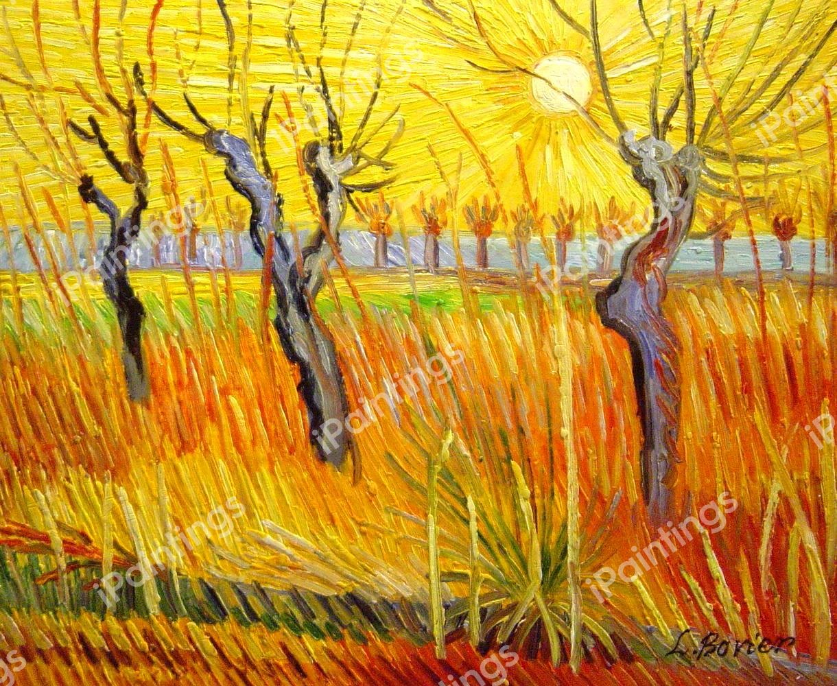 The Pollard Willows, Setting Sun. The painting by Vincent Van Gogh