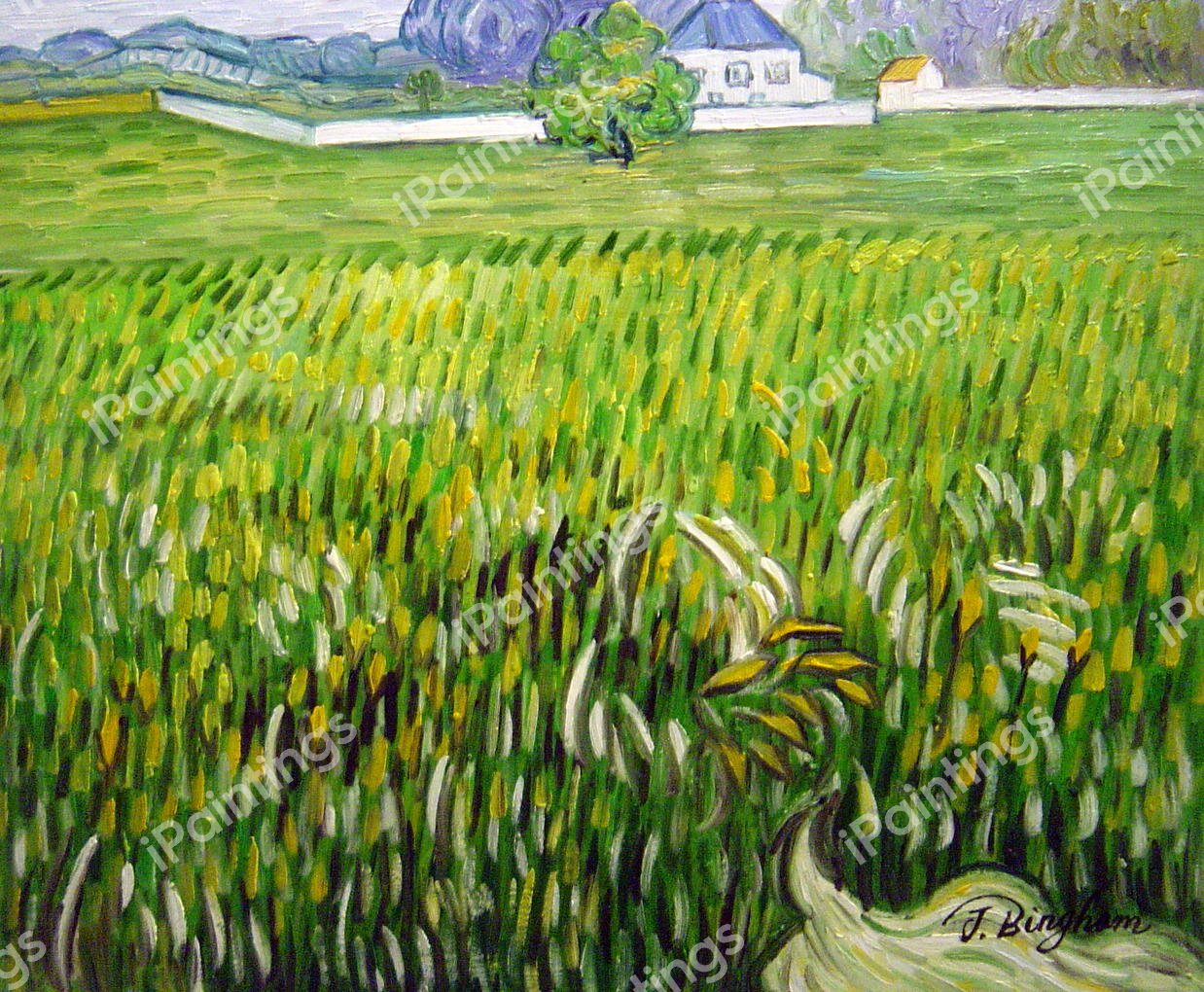 Wheat Field At Auvers With White House. The painting by Vincent Van Gogh