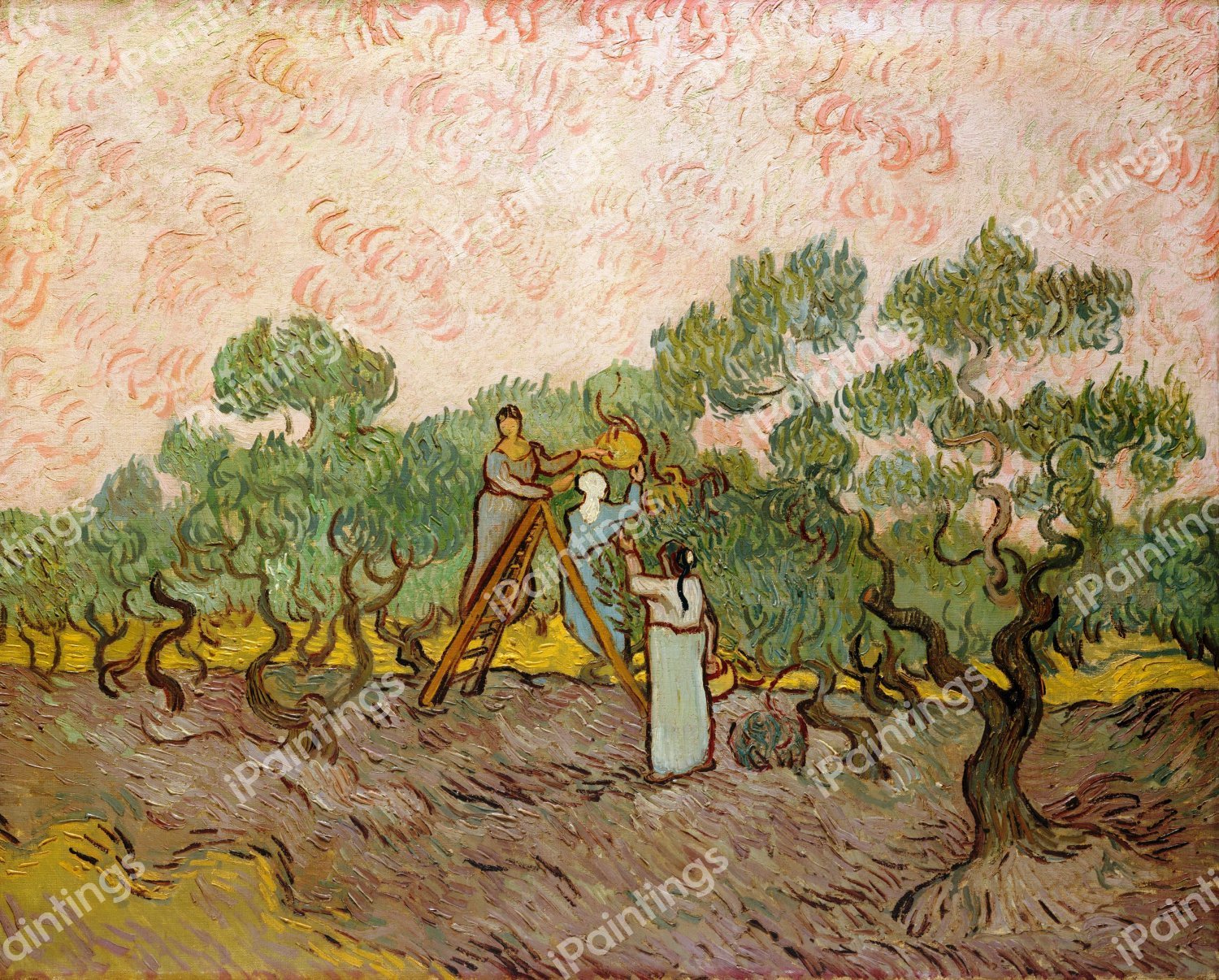 Women Picking Olives. The painting by Vincent Van Gogh
