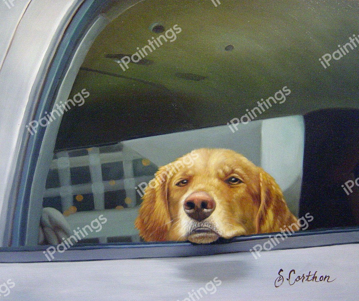 Waiting Patiently. The painting by Our Originals