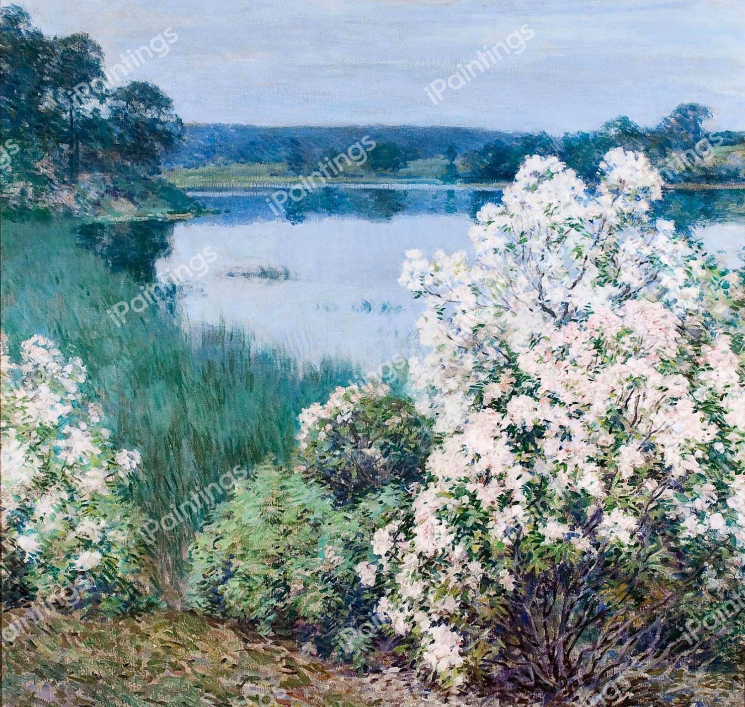 Kalmia. The painting by Willard Leroy Metcalf