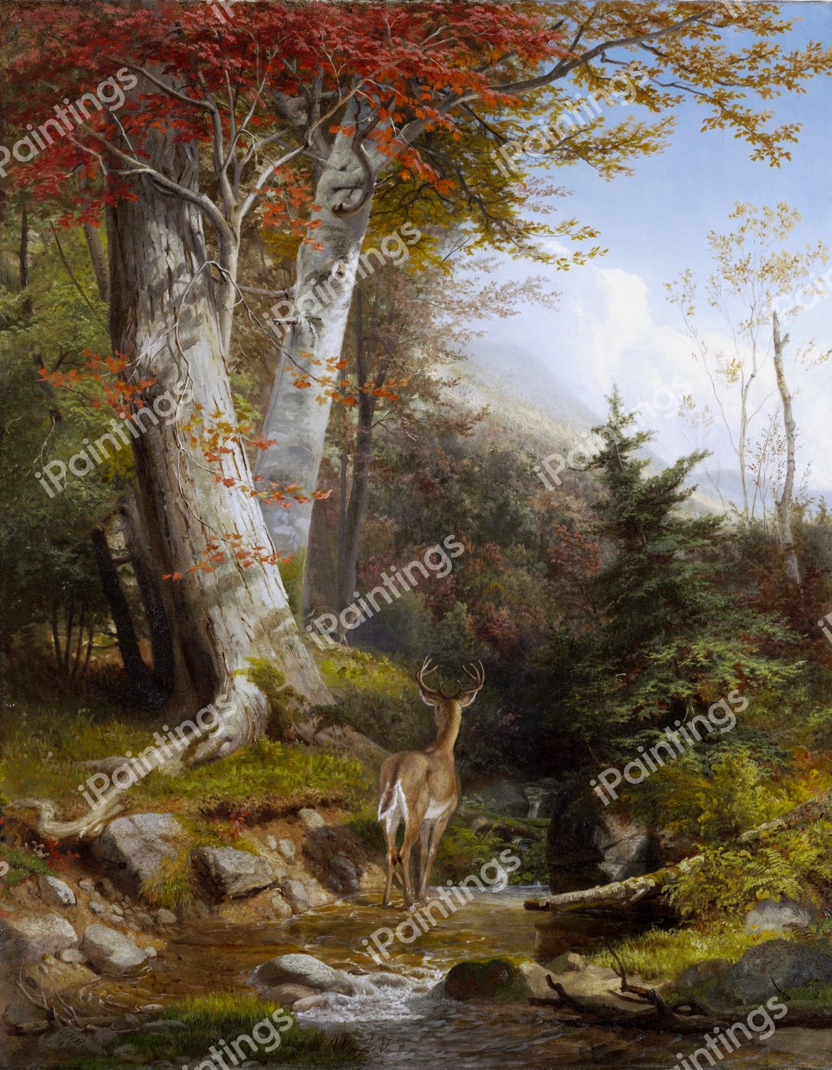 Mountain Stream and Deer. The painting by William Holbrook Beard