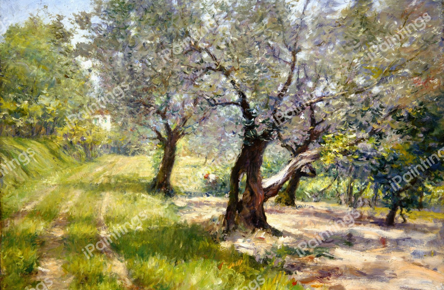 The Olive Grove. The painting by William Merritt Chase