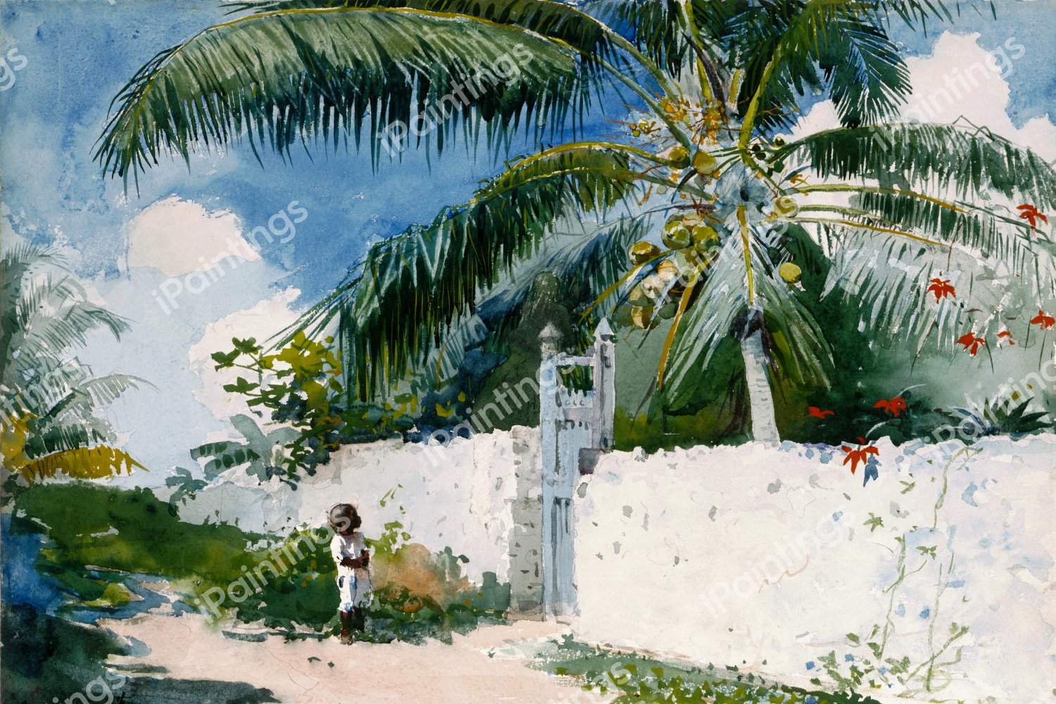 A Garden in Nassau. The painting by Winslow Homer