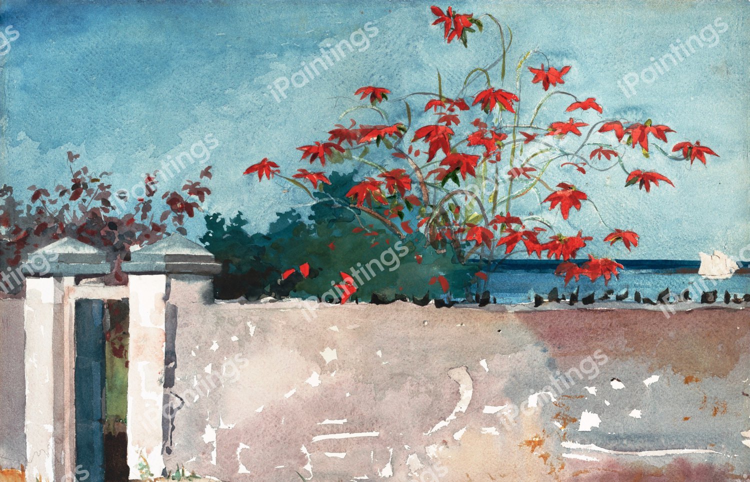 A Wall, Nassau. The painting by Winslow Homer