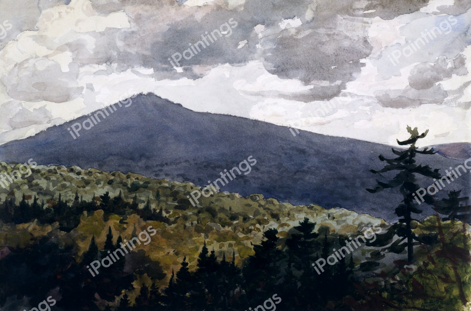 Burnt Mountain. The painting by Winslow Homer