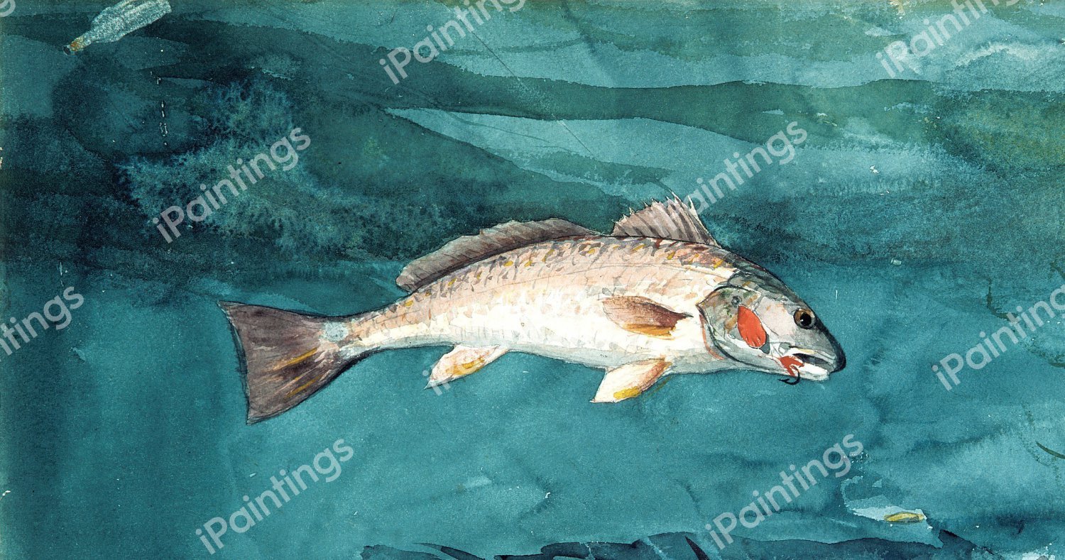 Channel Bass. The painting by Winslow Homer