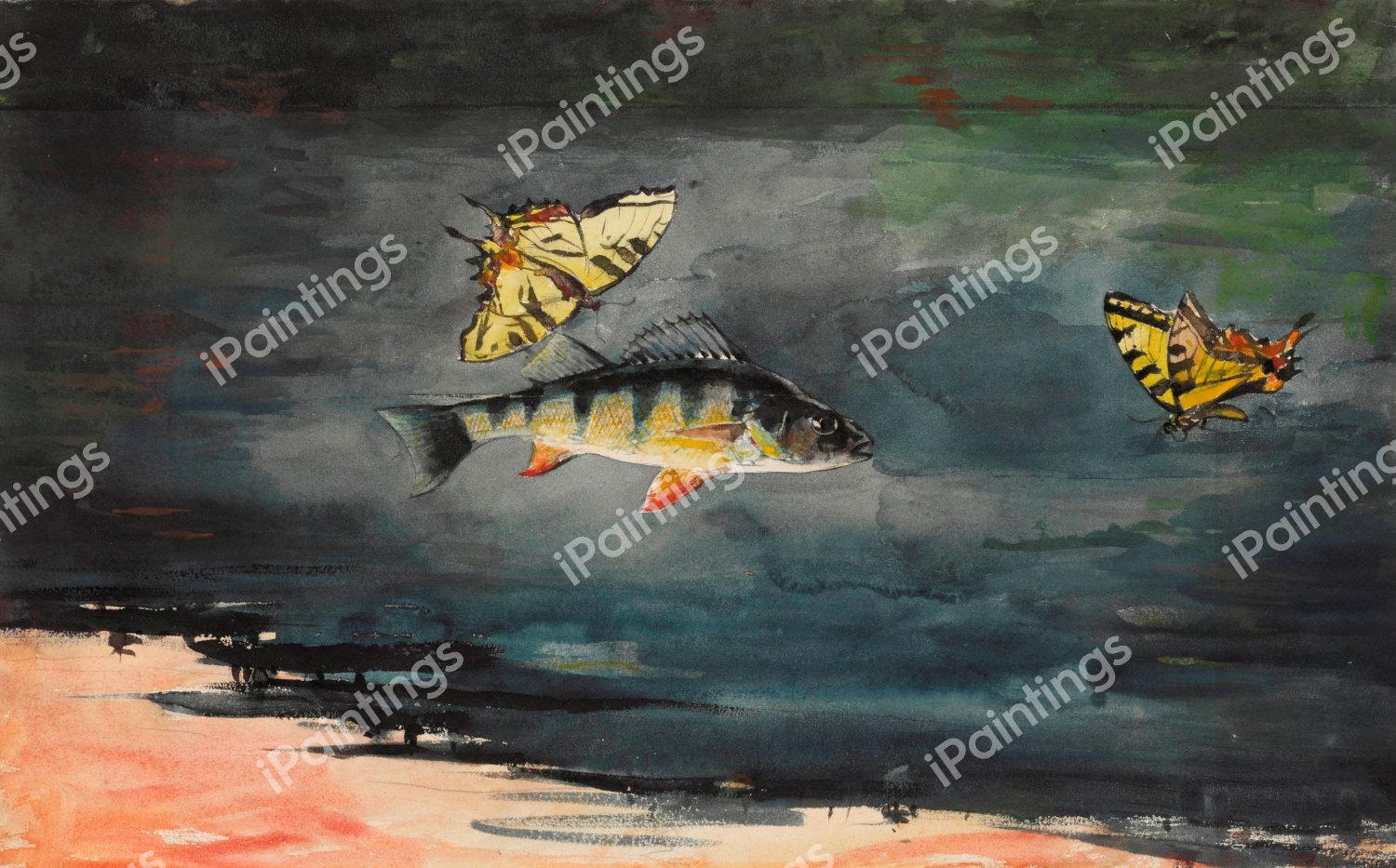 Fish and Butterflies. The painting by Winslow Homer