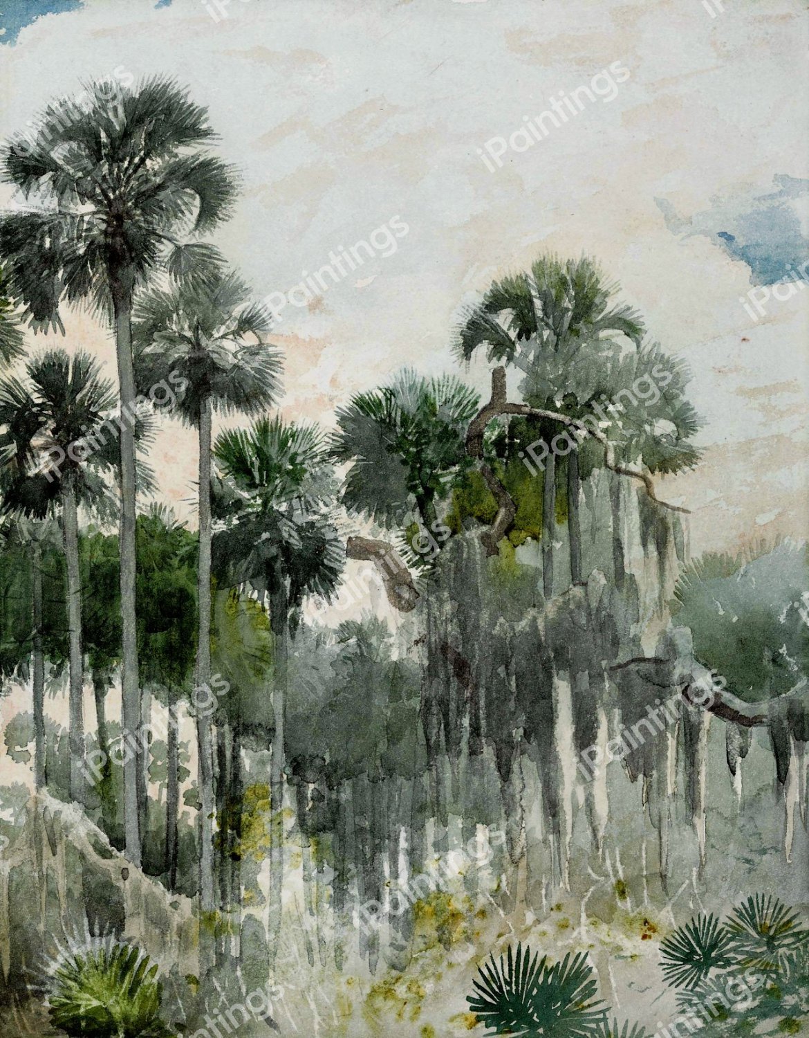 Florida Jungle. The painting by Winslow Homer