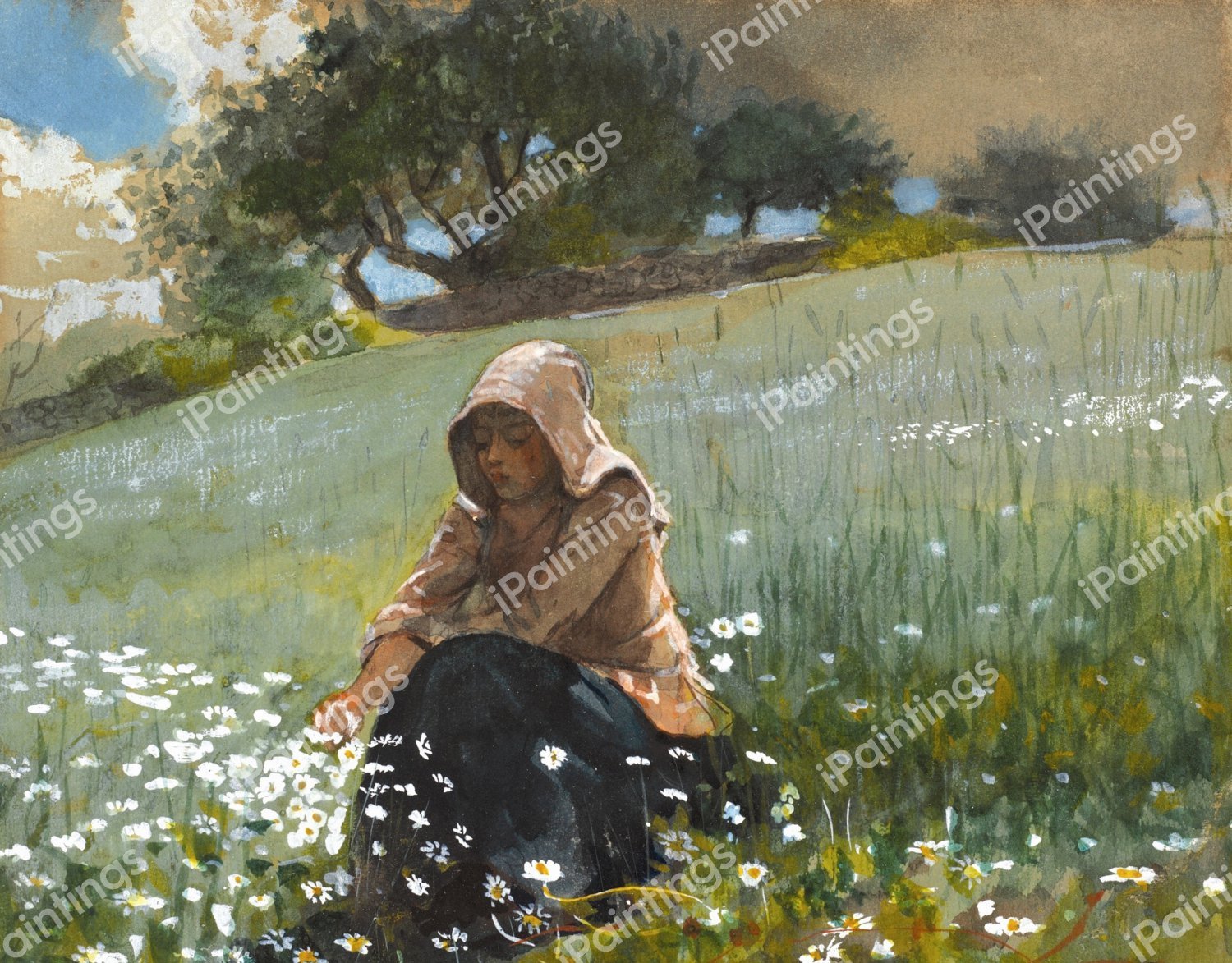Girl with Daisies. The painting by Winslow Homer