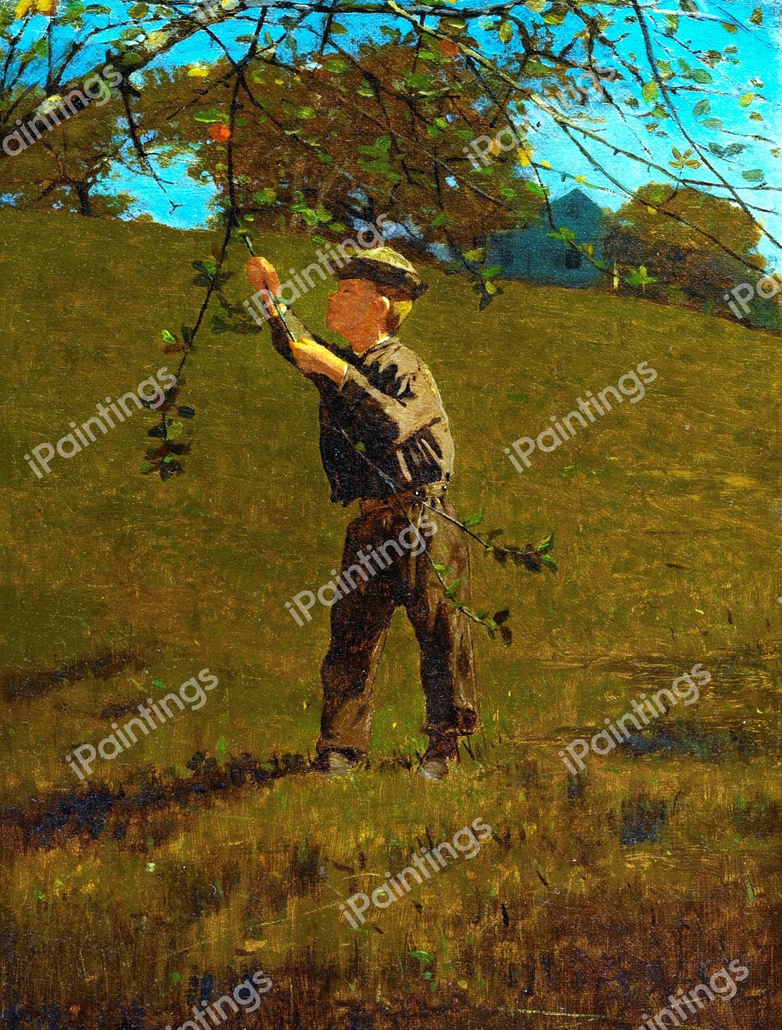 Green Apples. The painting by Winslow Homer