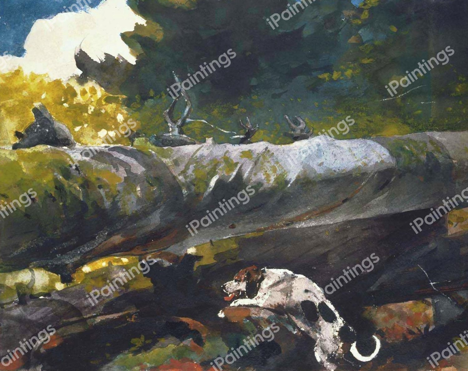 Hunting Dog among Dead Trees. The painting by Winslow Homer