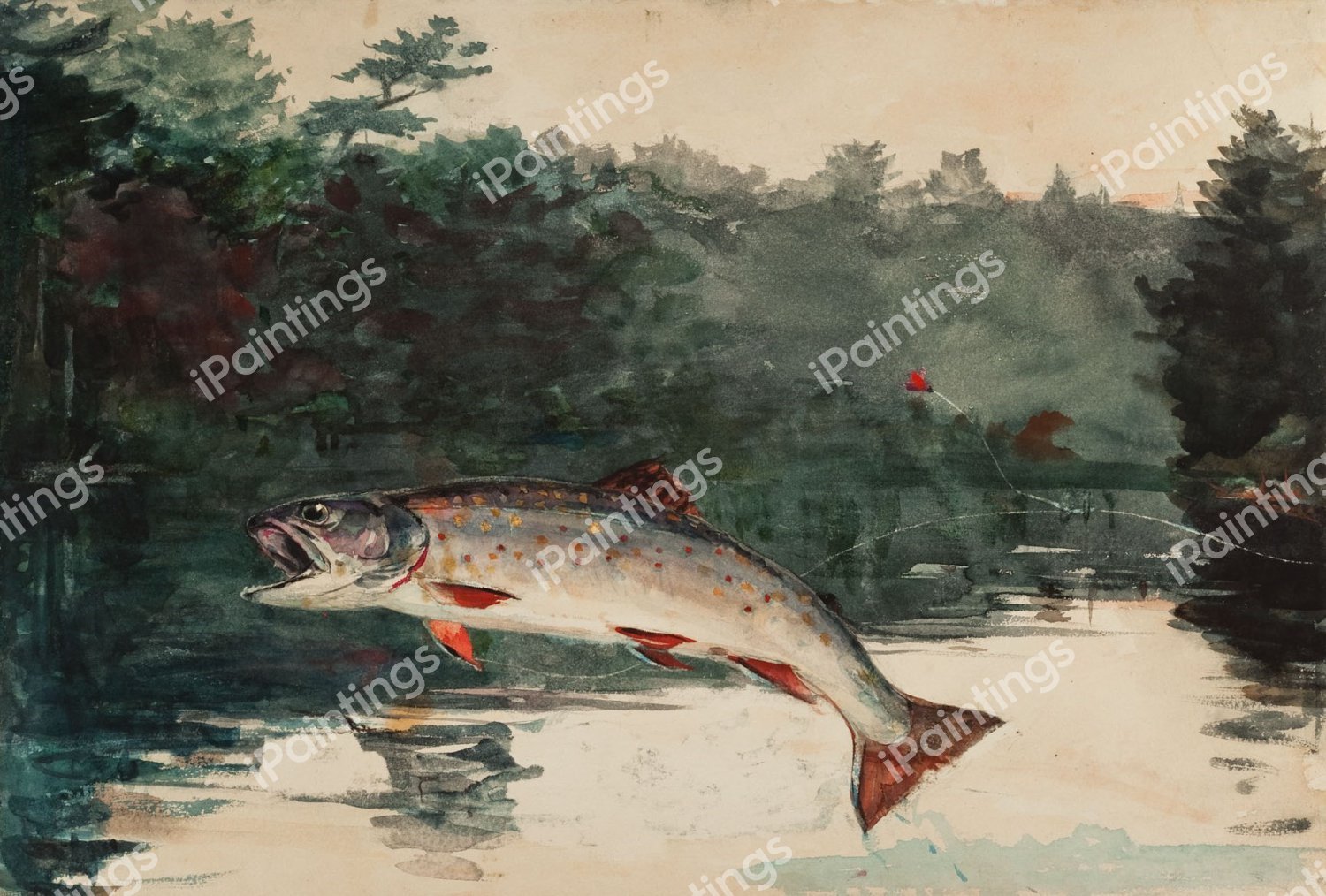 Leaping Trout. The painting by Winslow Homer
