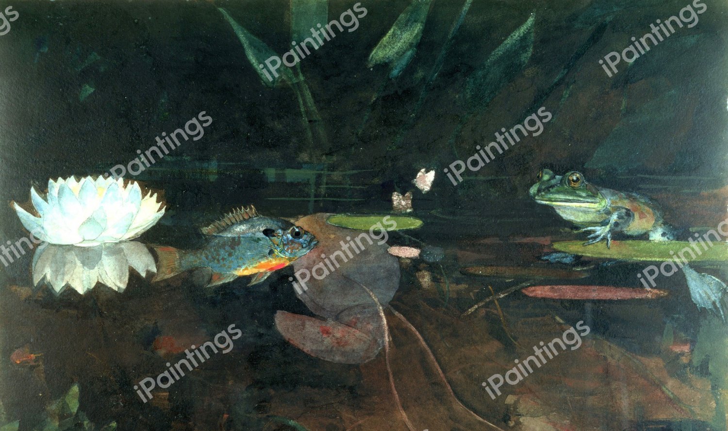 Mink Pond. The painting by Winslow Homer