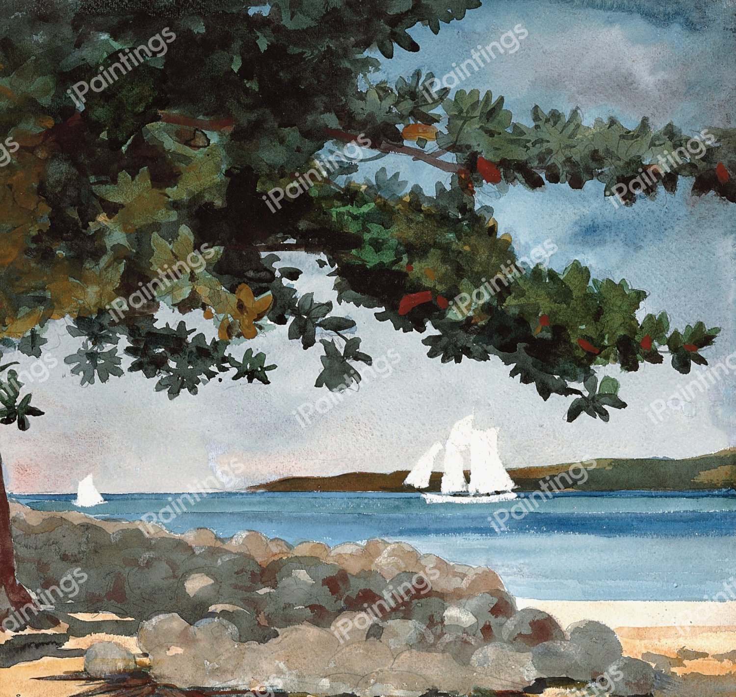 Nassau - Water and Sailboat. The painting by Winslow Homer