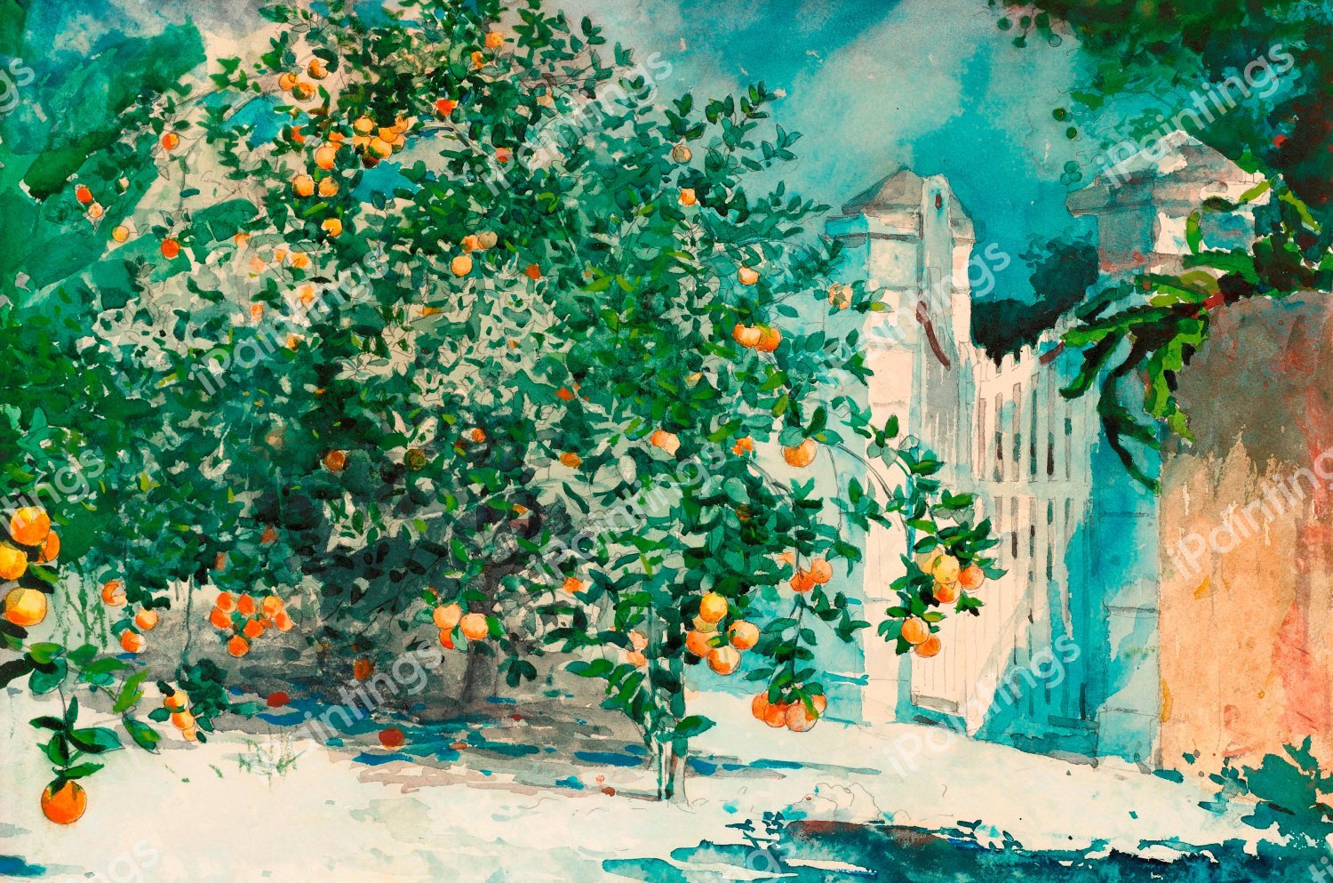 Orange Tree, Nassau also known as Orange Trees and Gate. The painting by Winslow Homer