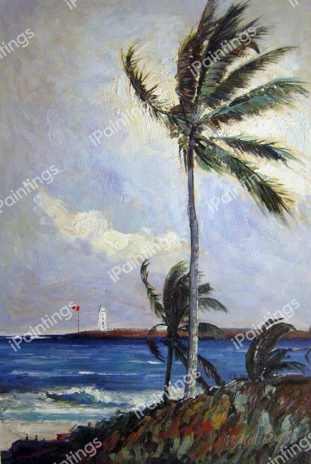 Palm Tree, Nassau. The painting by Winslow Homer