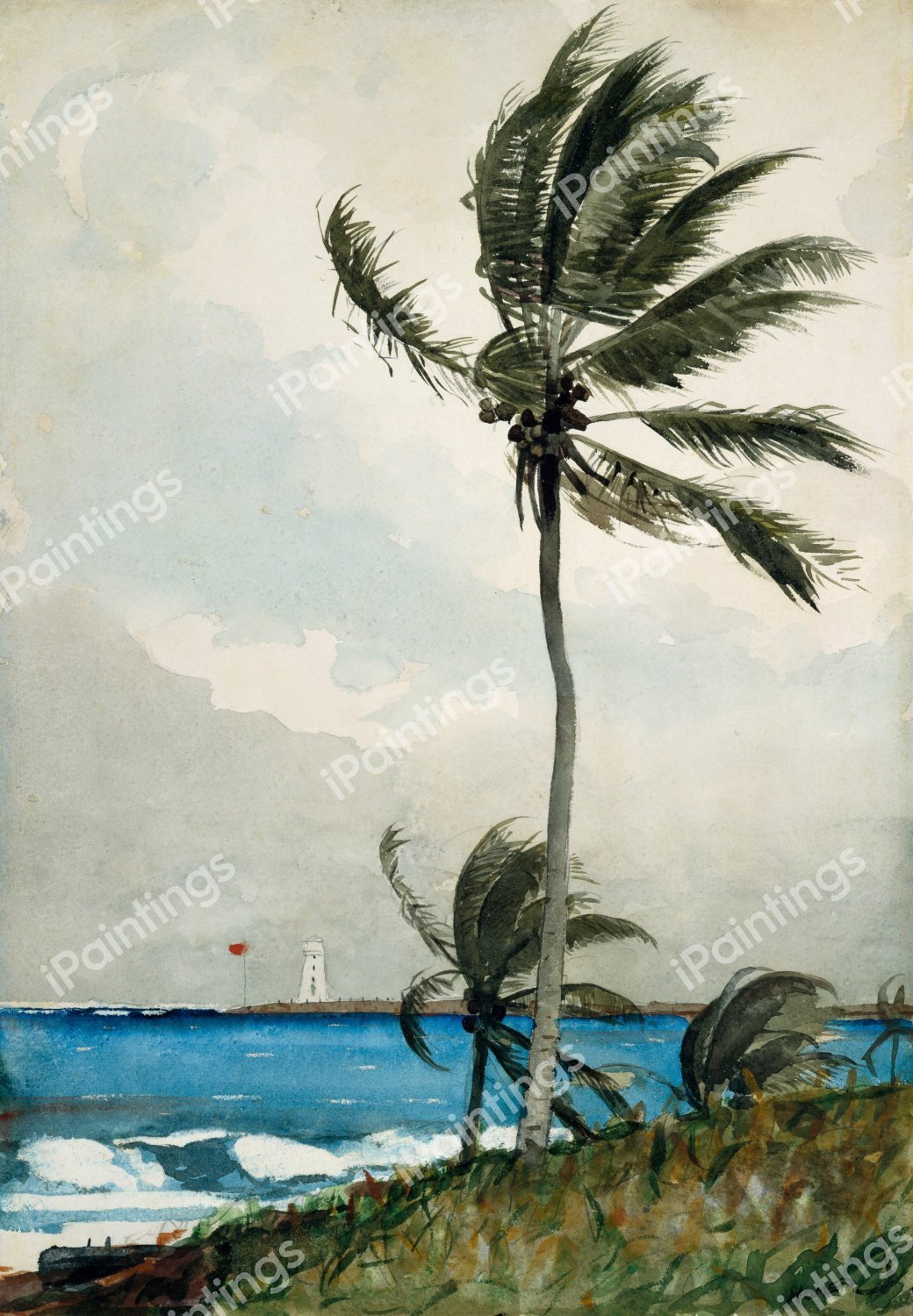 The Palm Tree in Nassau. The painting by Winslow Homer