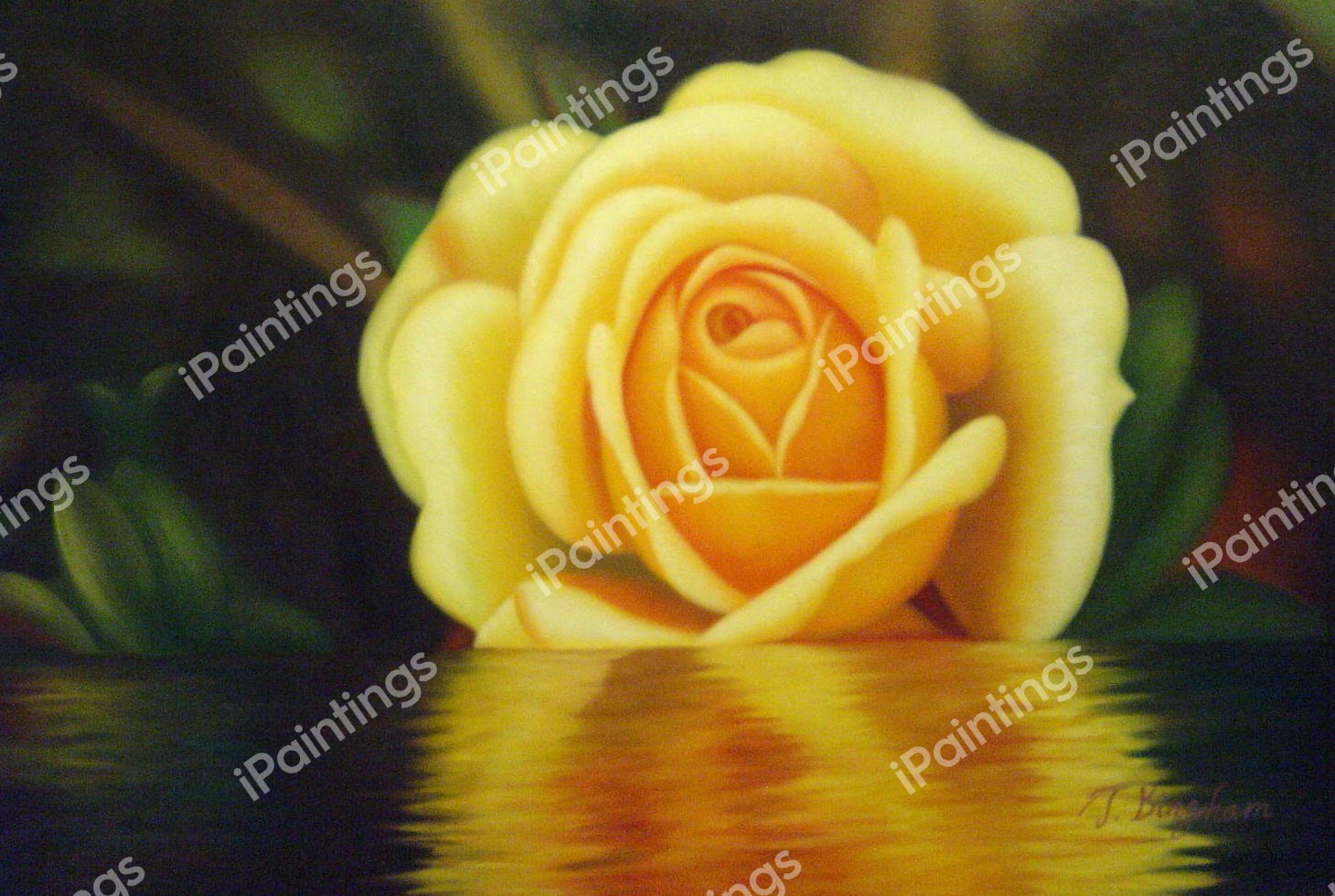 Yellow Rose Reflection. The painting by Our Originals