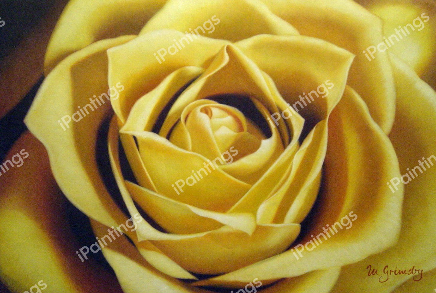 Yellow Rose. The painting by Our Originals