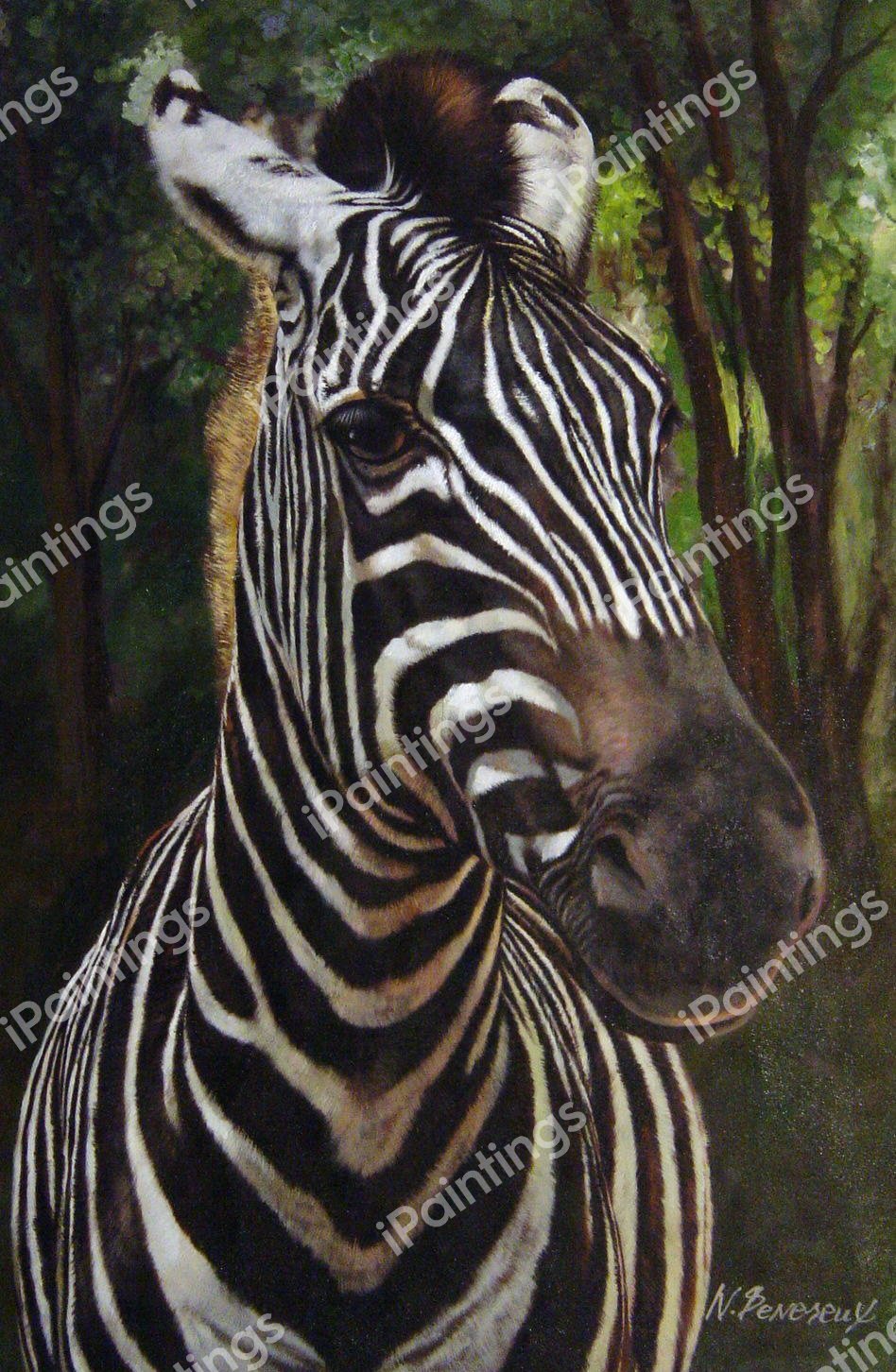 Zebra Portrait. The painting by Our Originals